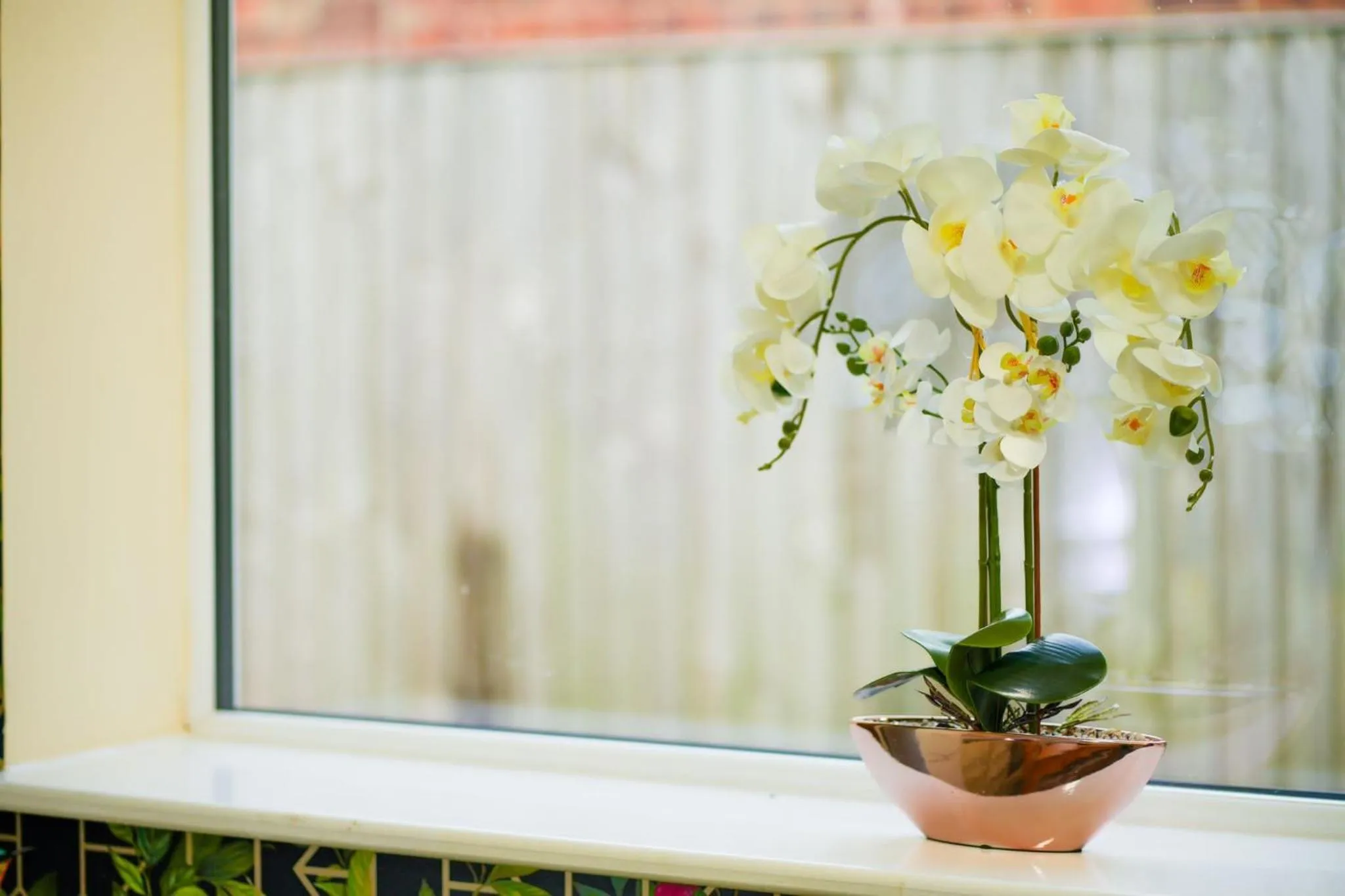 Other in Baxter House