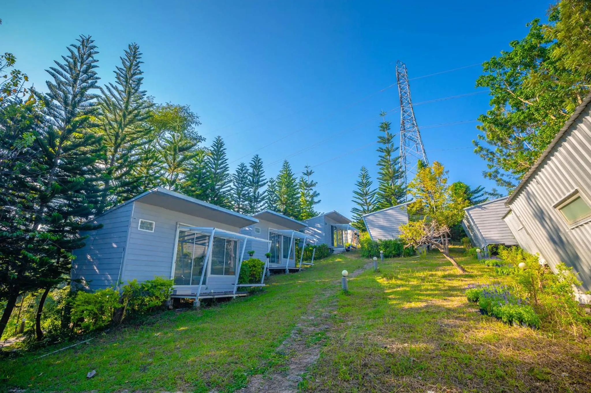 Garden view in 153 Mountain View
