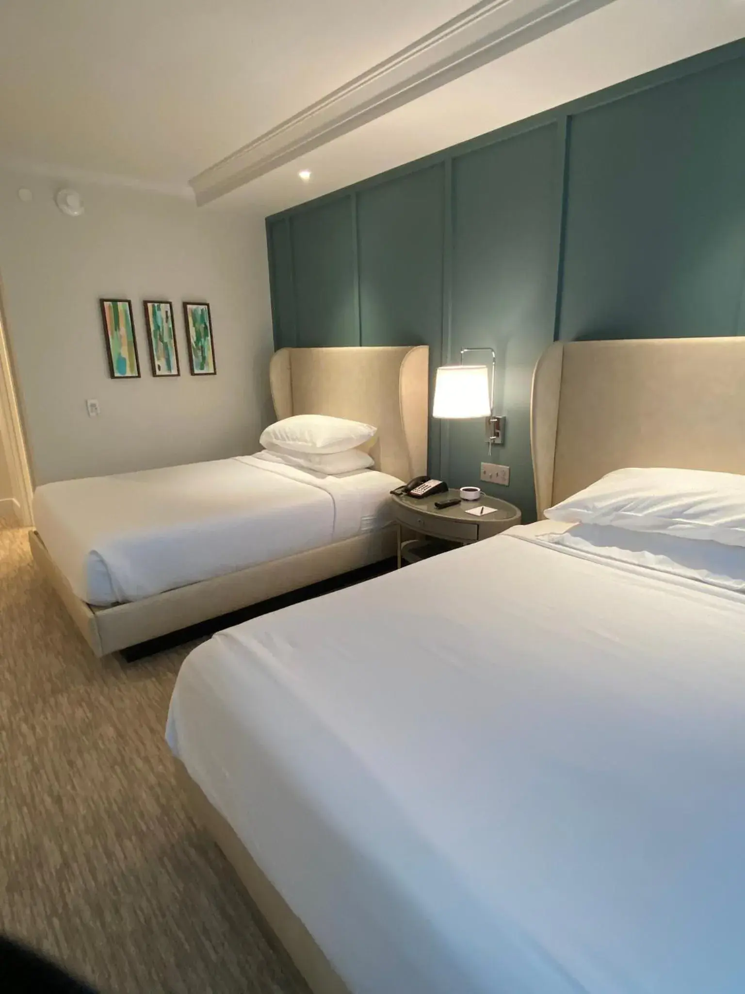 Deluxe Double Room in The Shepherd Hotel Downtown Clemson Deluxe Double Room in The Shepherd Hotel Downtown Clemson