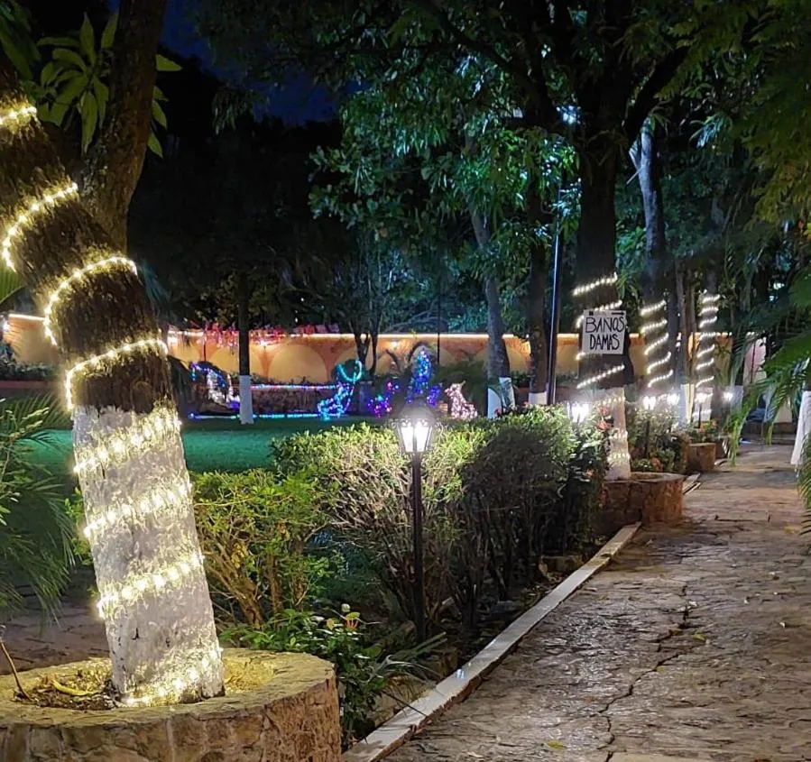 Garden in Casa Kolping