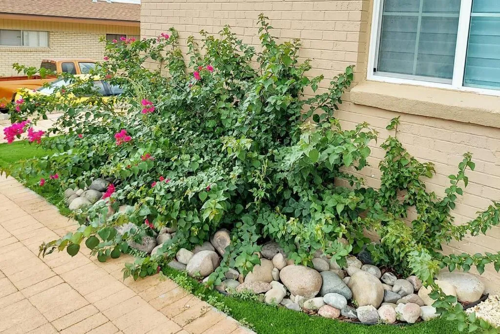 Spring in My Cozy Duplex B in the heart of West Side