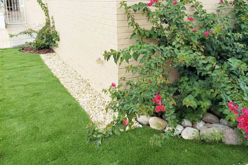 Garden in My Cozy Duplex B in the heart of West Side