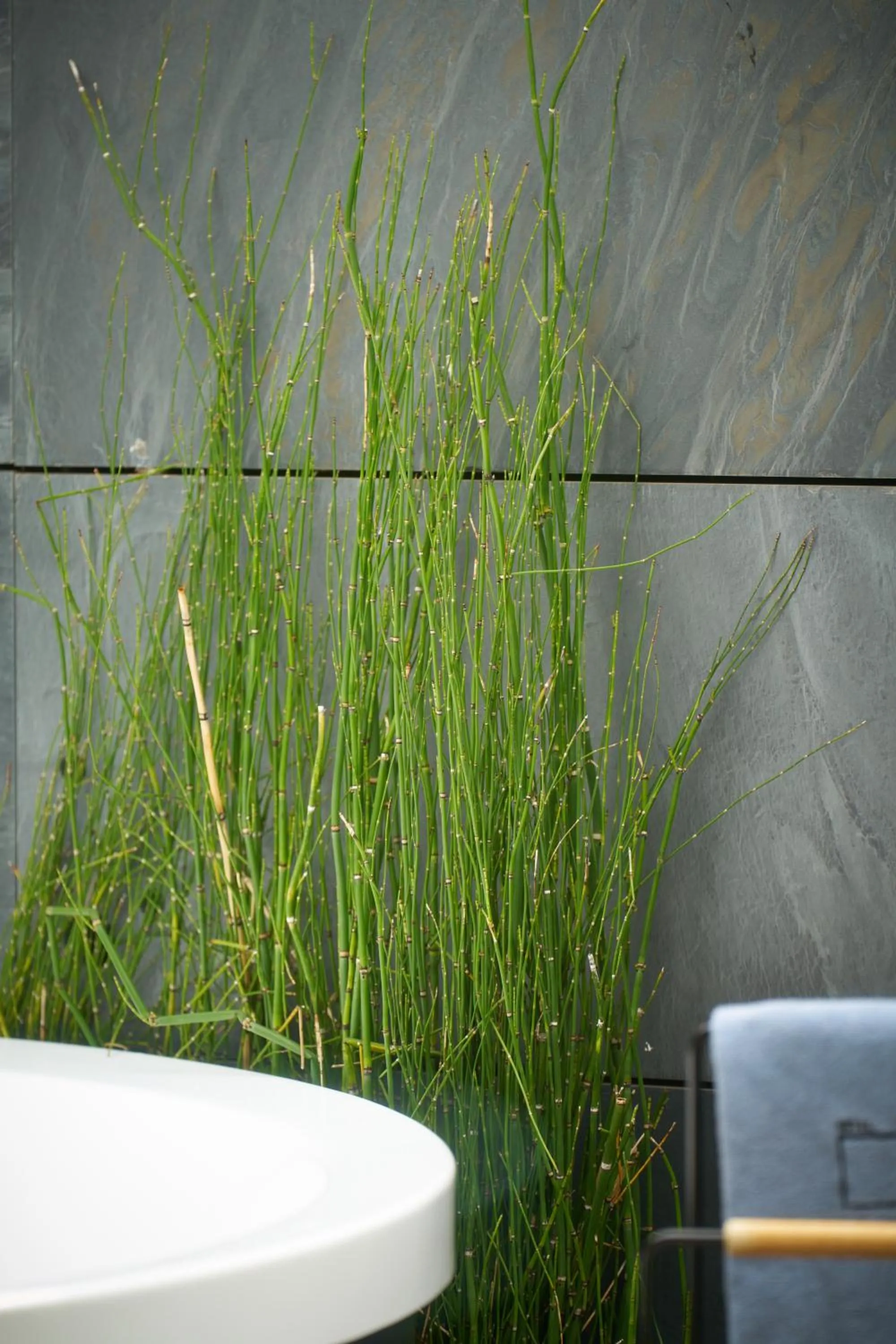 Balcony/Terrace in Hotel Regina