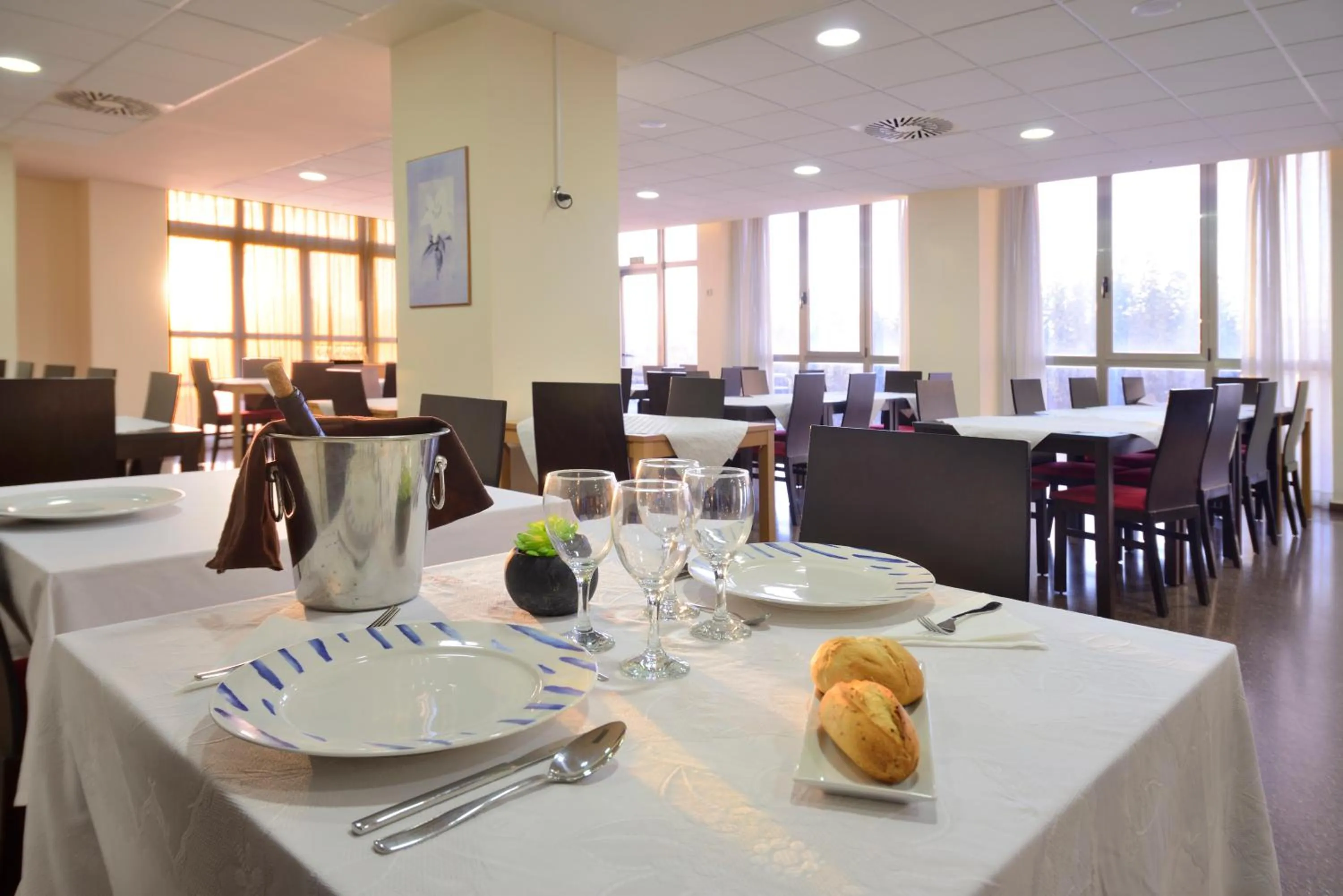 Other in Hotel Miramar Playa