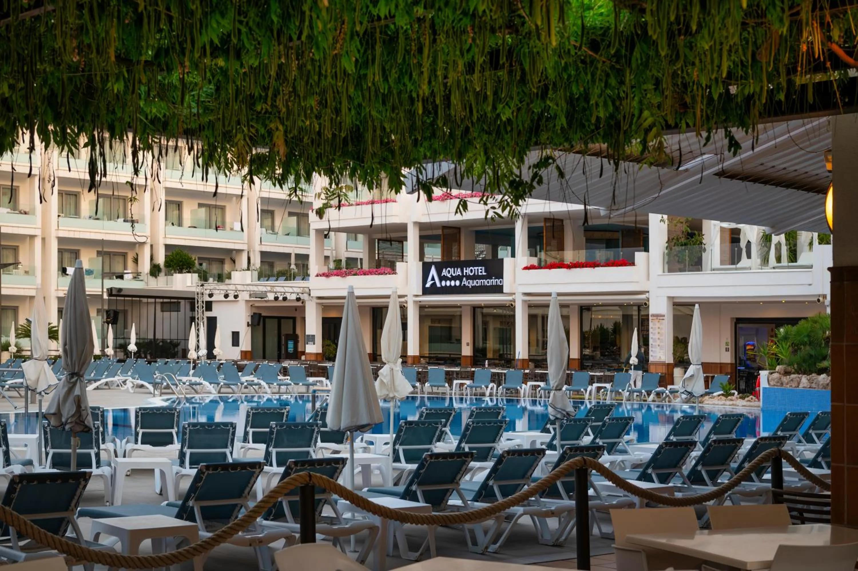 sunbed in AQUA Hotel Aquamarina & Spa