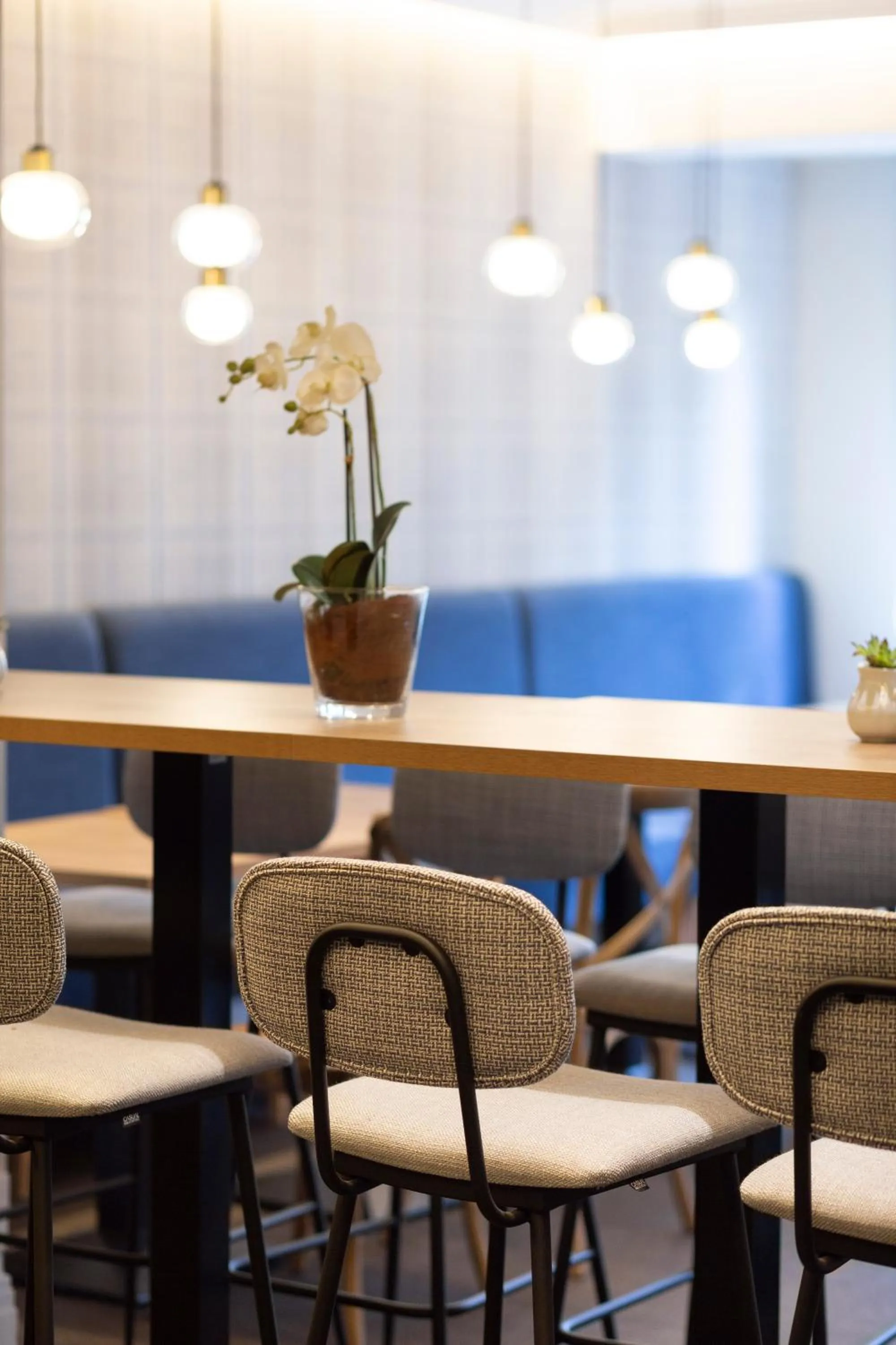 Buffet breakfast in Hotel Universal