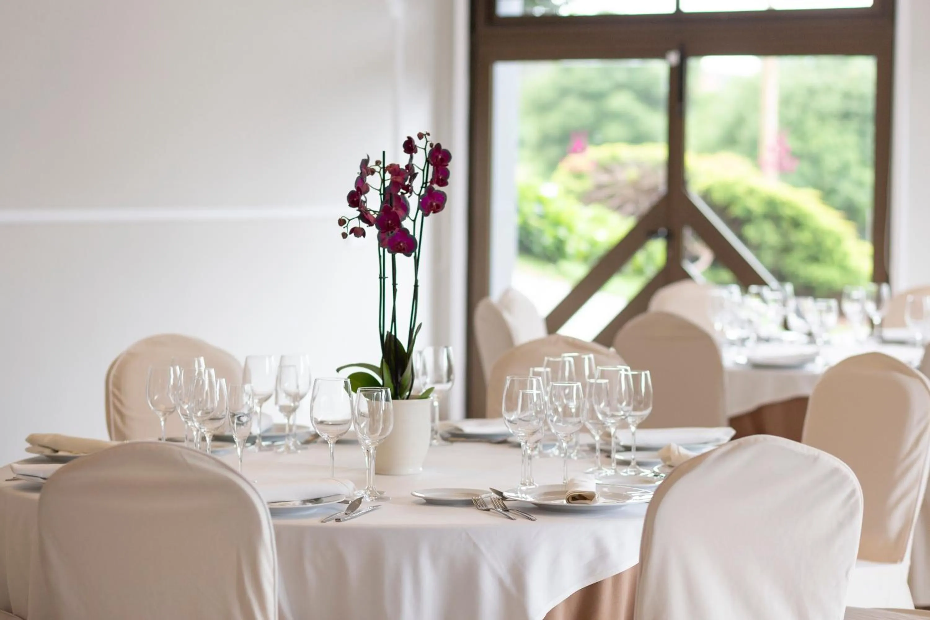 Restaurant/places to eat in Hotel Santiago Apóstol