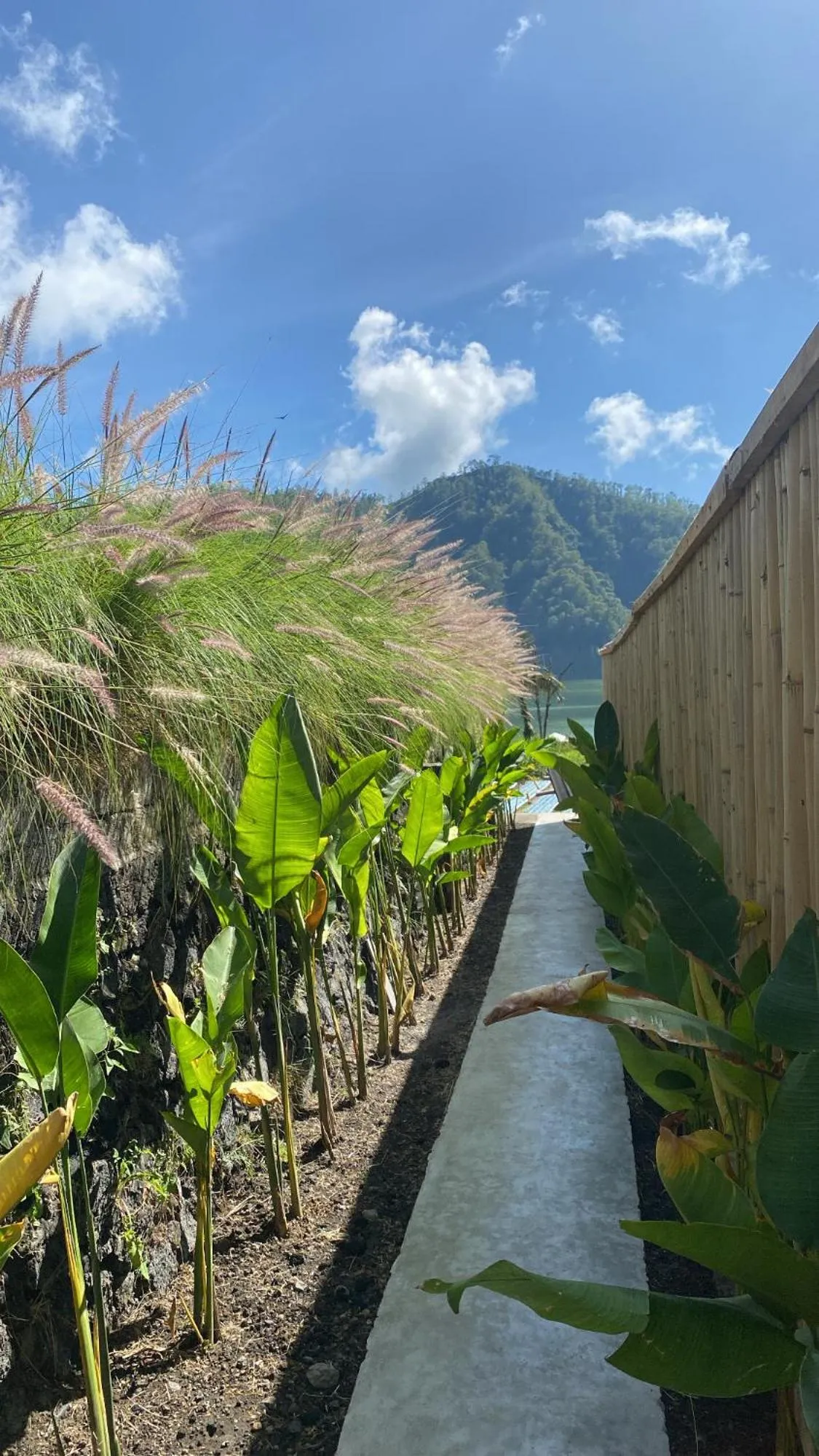 Natural landscape in La Jempana Kintamani