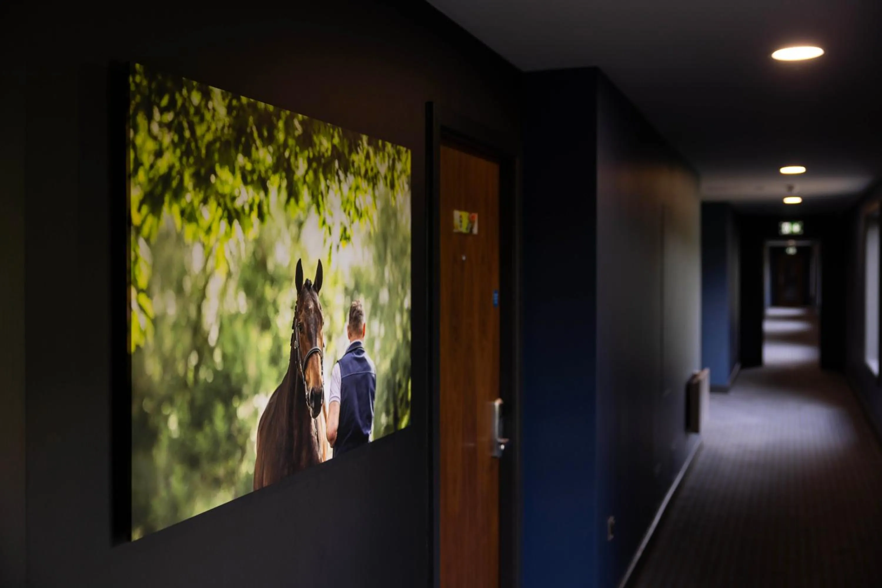 Property building in voco The Club - Dublin Gateway by IHG