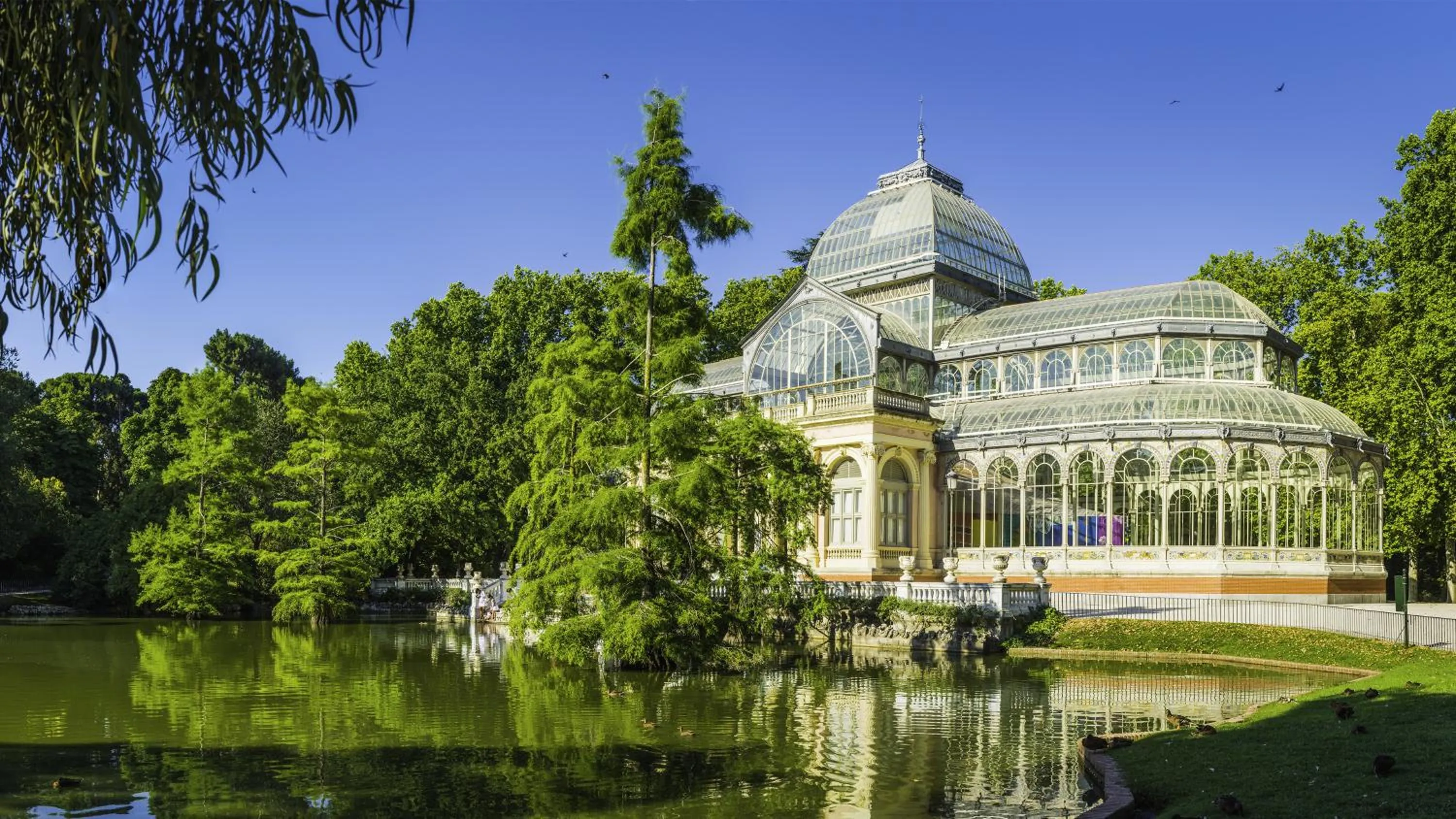 Natural landscape in voco Madrid Retiro by IHG