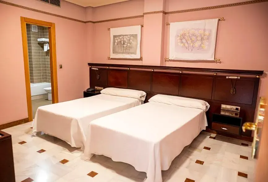 Double or Twin Room in Hotel Don Miguel Plaza Double or Twin Room in Hotel Don Miguel Plaza