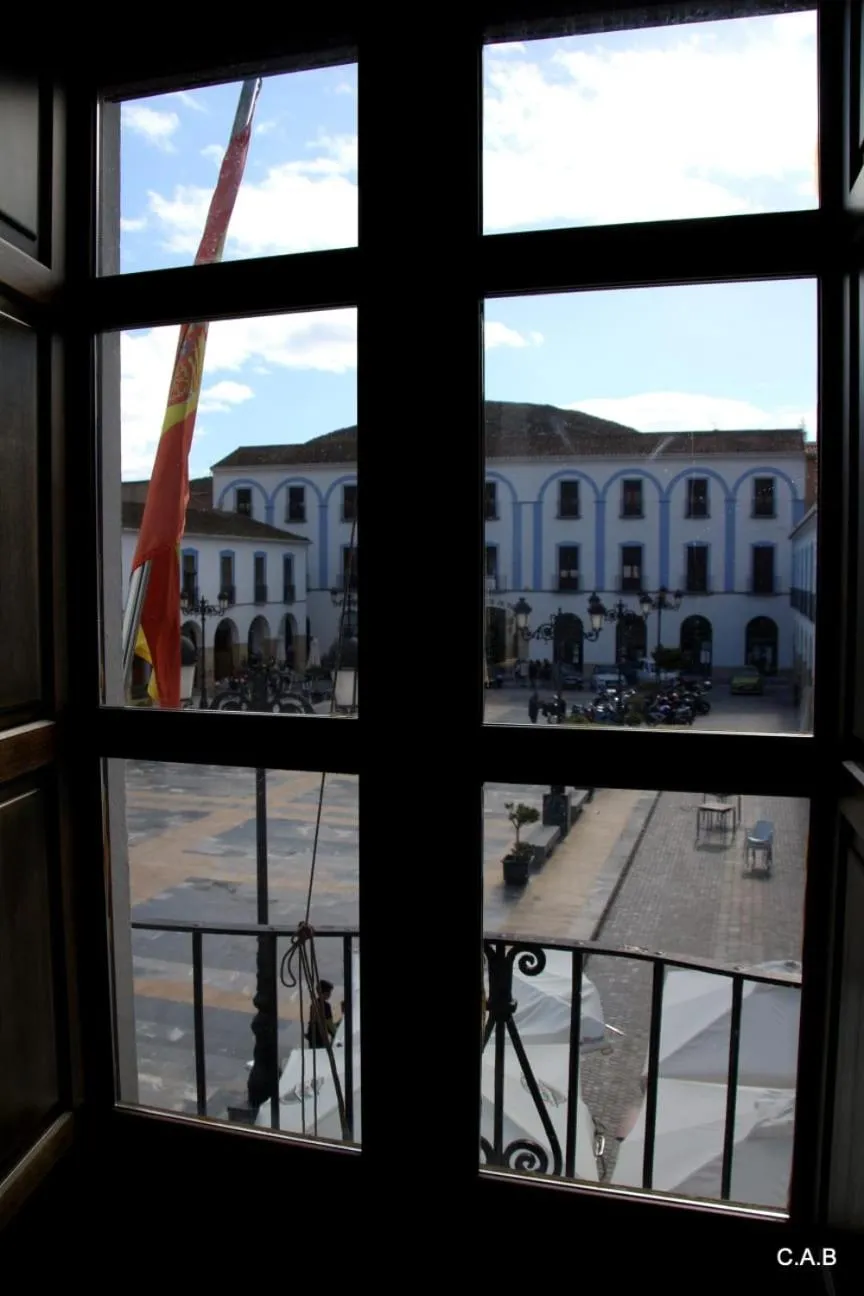 Balcony/Terrace in Hotel Don Miguel Plaza