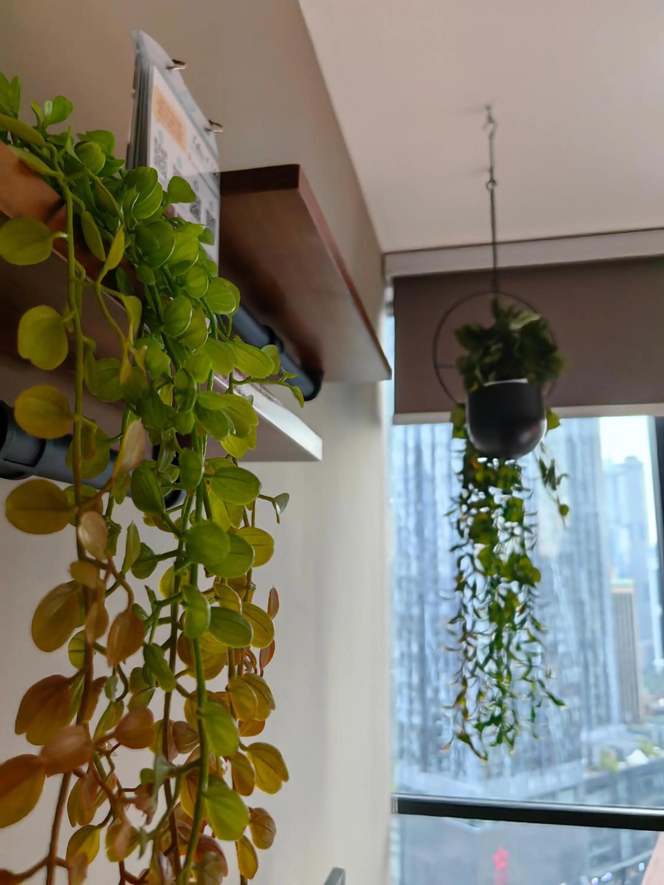 Scarletz Suites KLCC by De Harlequins Guesthouse