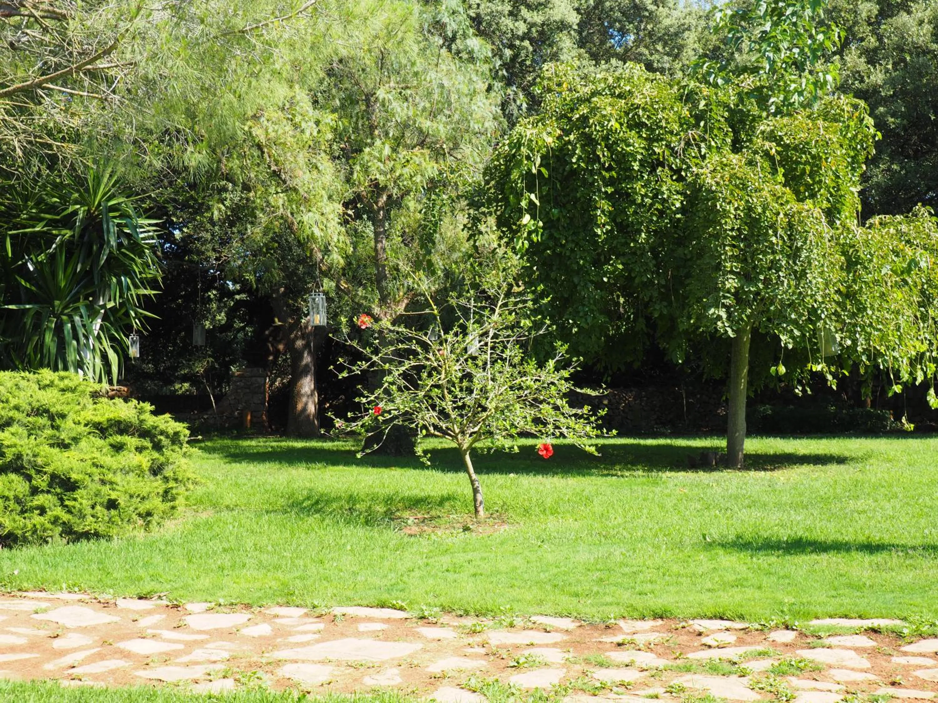 Garden view in Son Mercadal