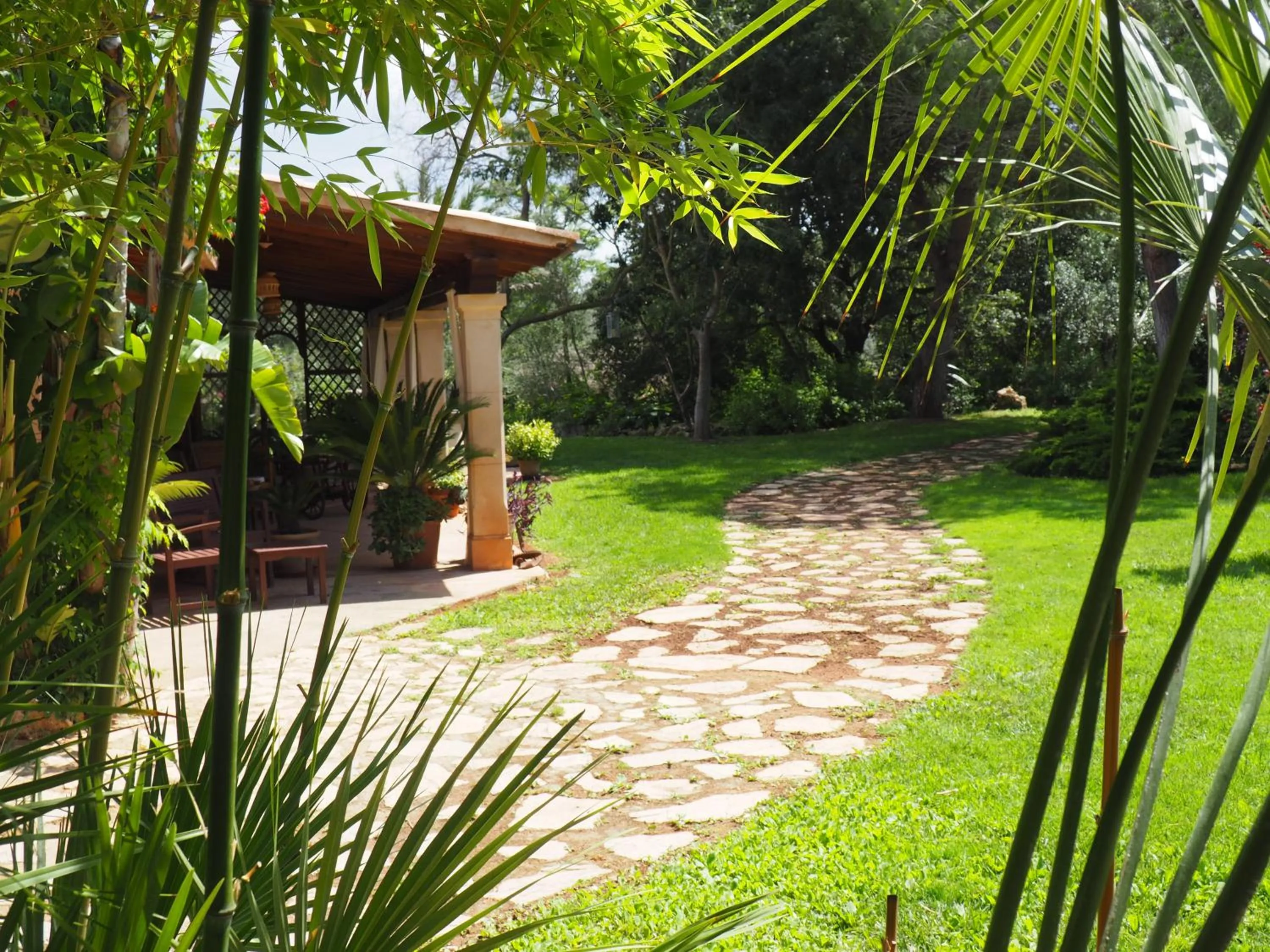 Garden view in Son Mercadal