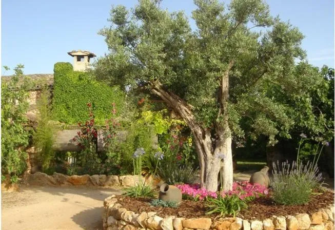 Other in Son Mercadal