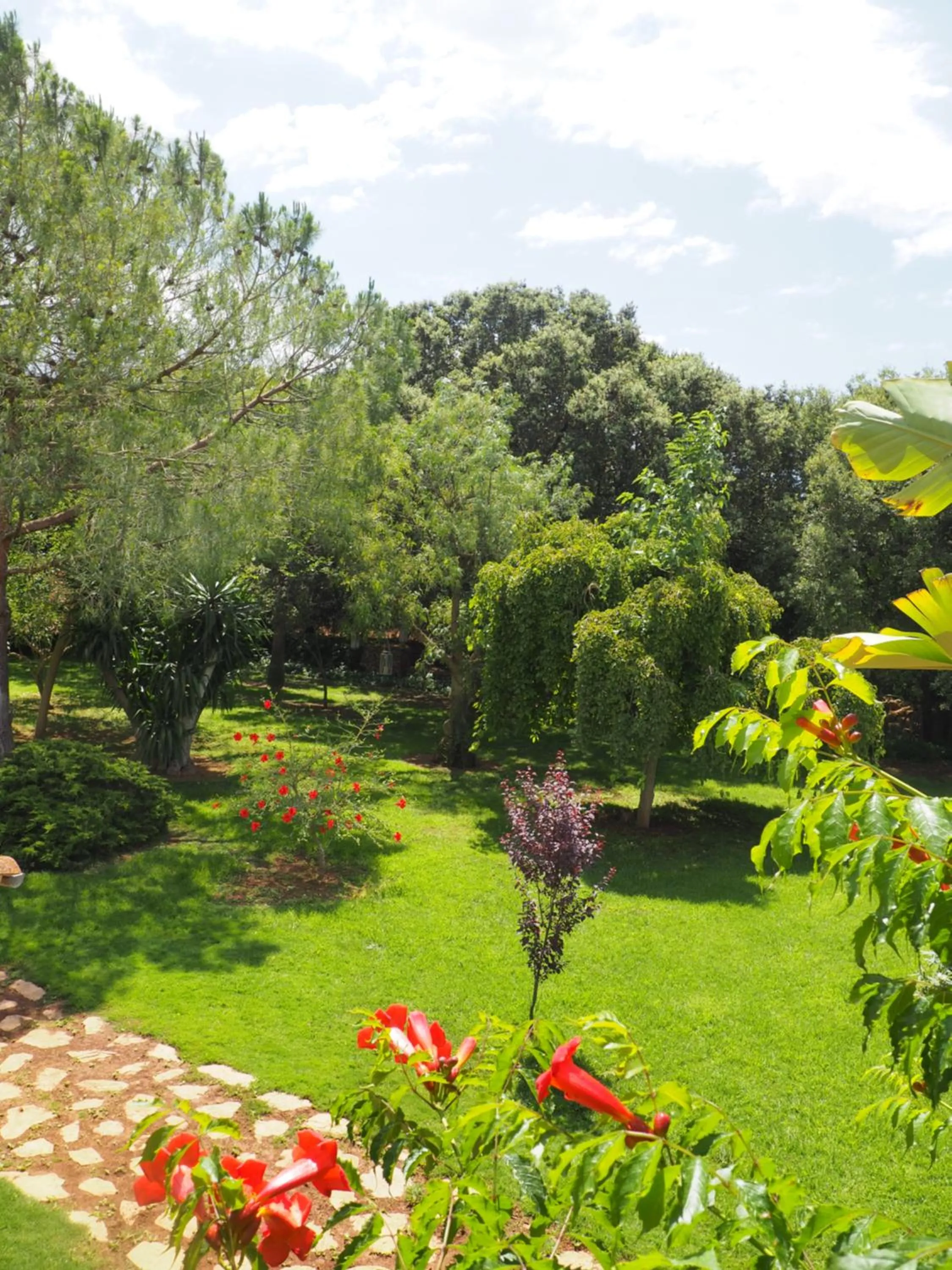 Garden view in Son Mercadal