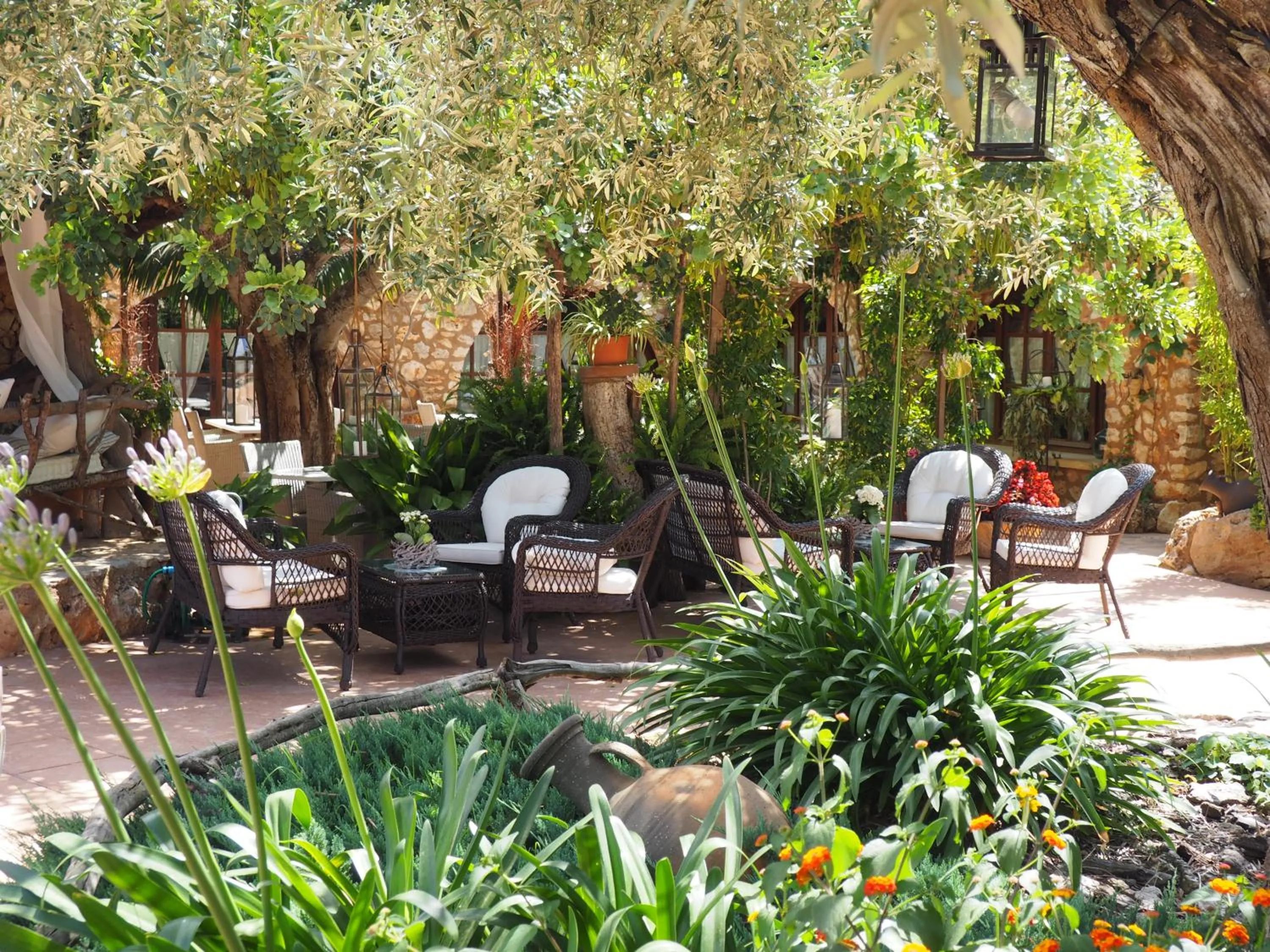 Patio in Son Mercadal