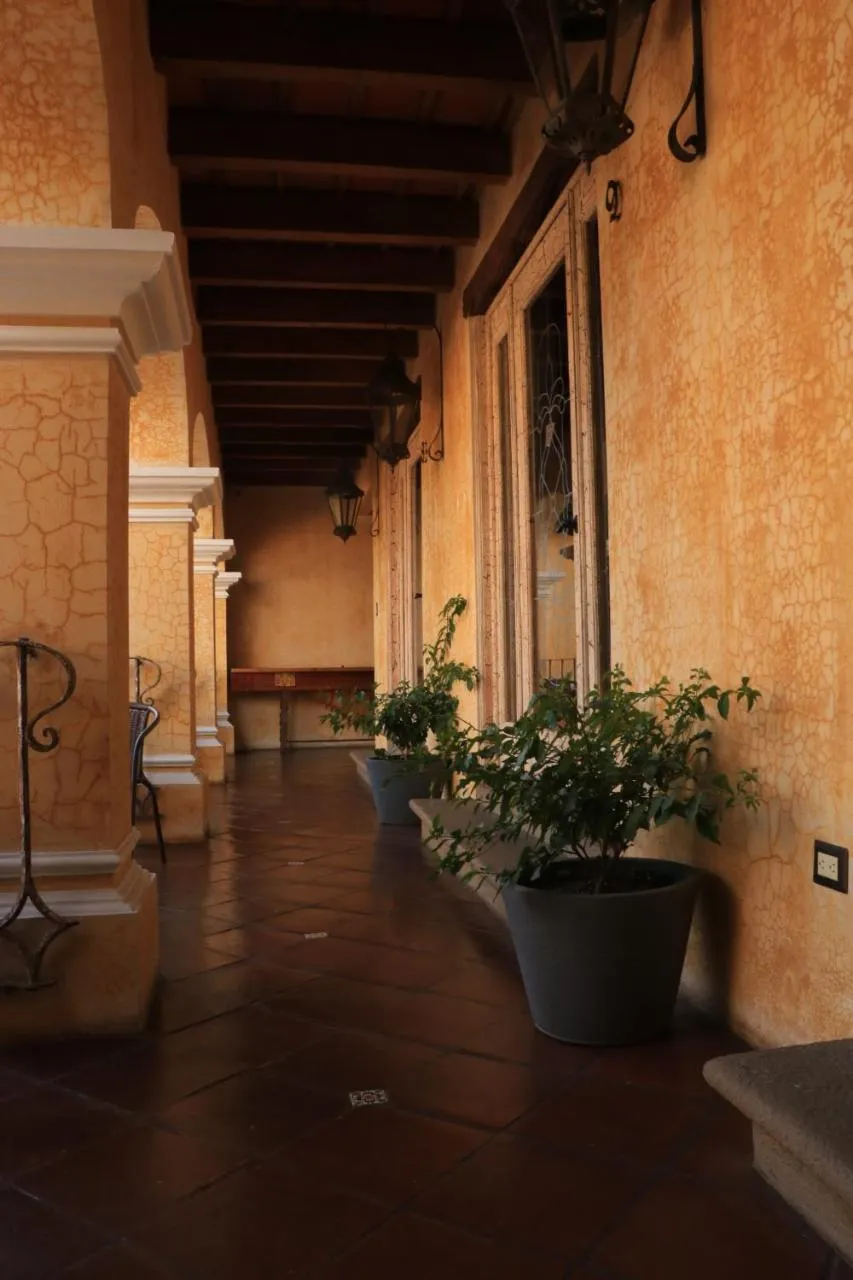 Balcony/Terrace in Hotel Casa Realeza