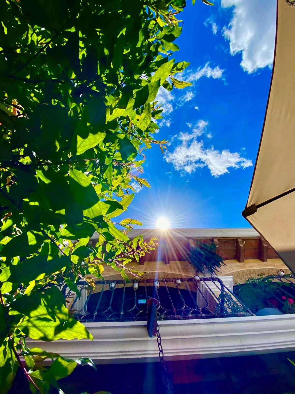 Garden in Hotel Casa Realeza