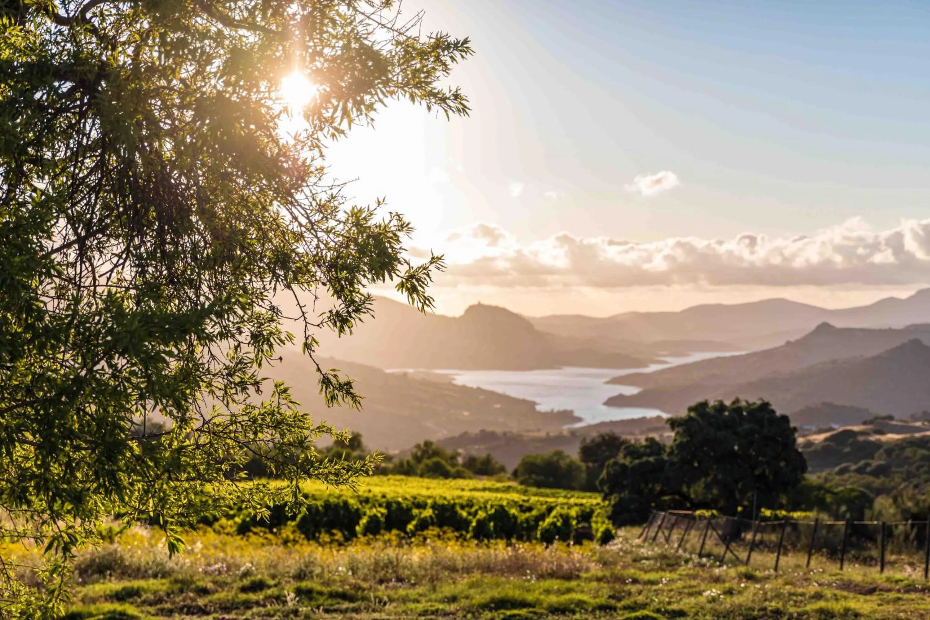 Natural landscape in Hotel Rural El Horcajo de Ronda