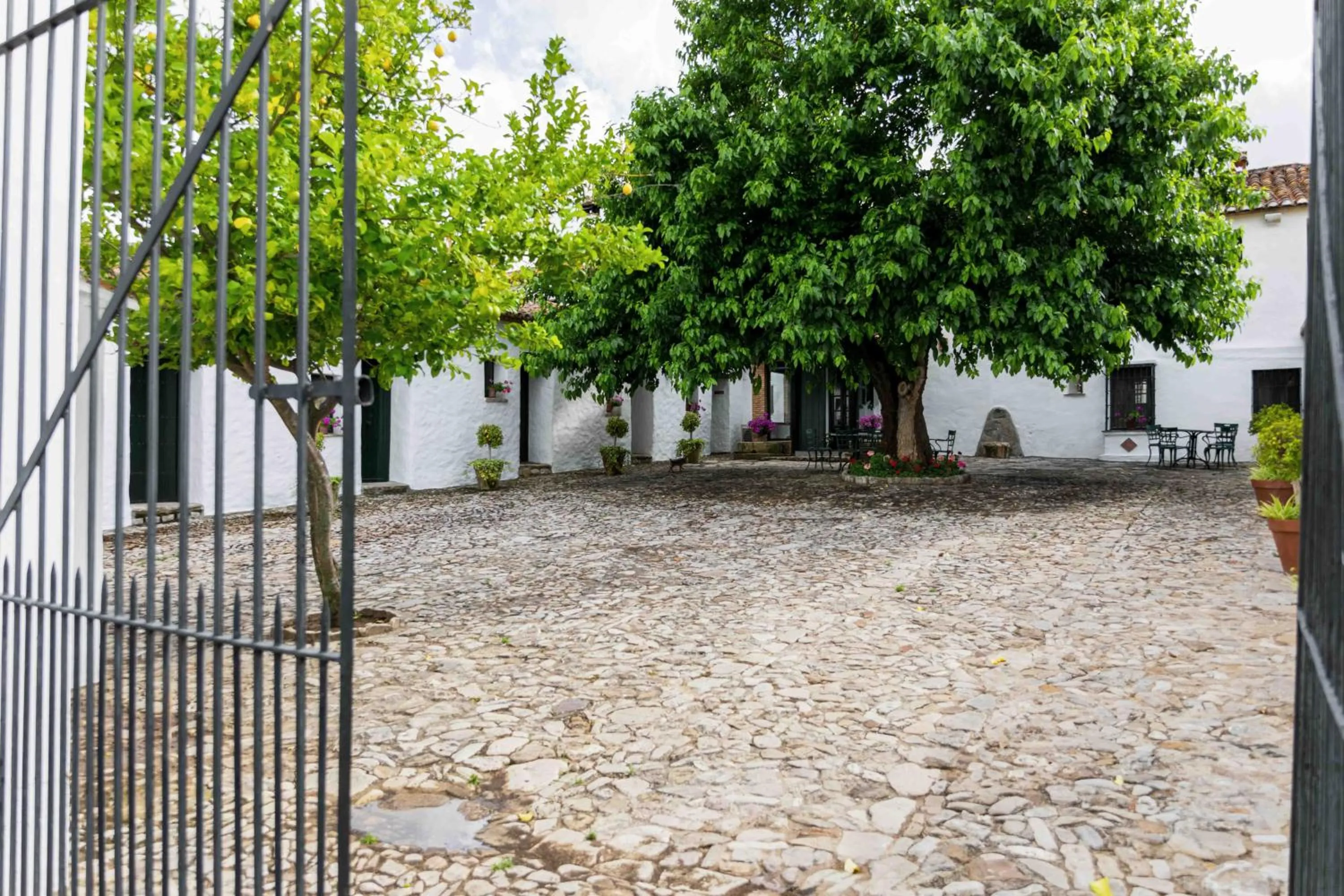 Patio in Hotel Rural El Horcajo de Ronda
