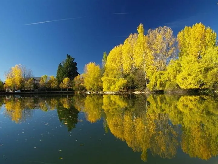 Natural landscape in Hotel Del Lago