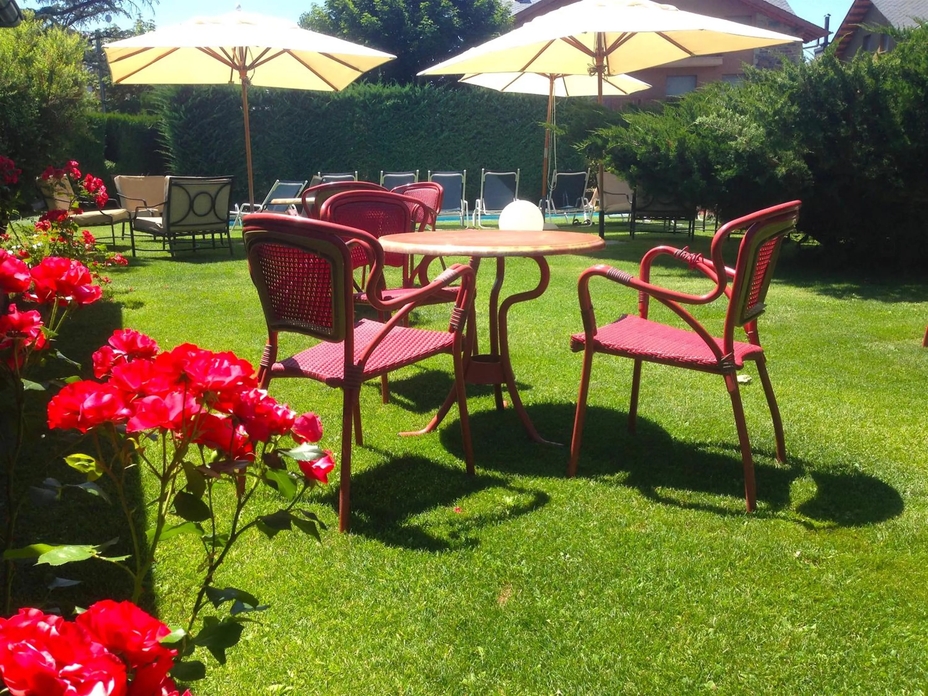 Garden in Hotel Del Lago