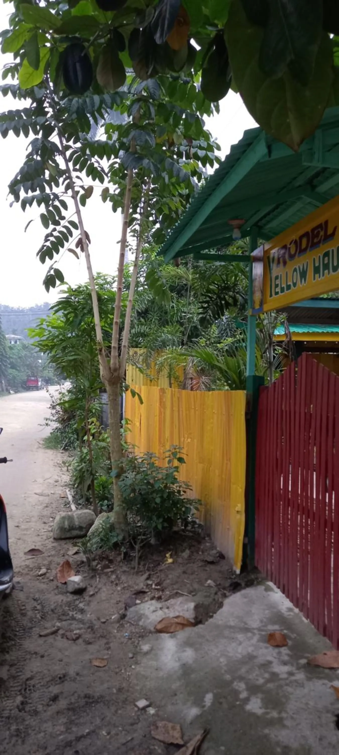 Property building in Rodel Yellow Hauz