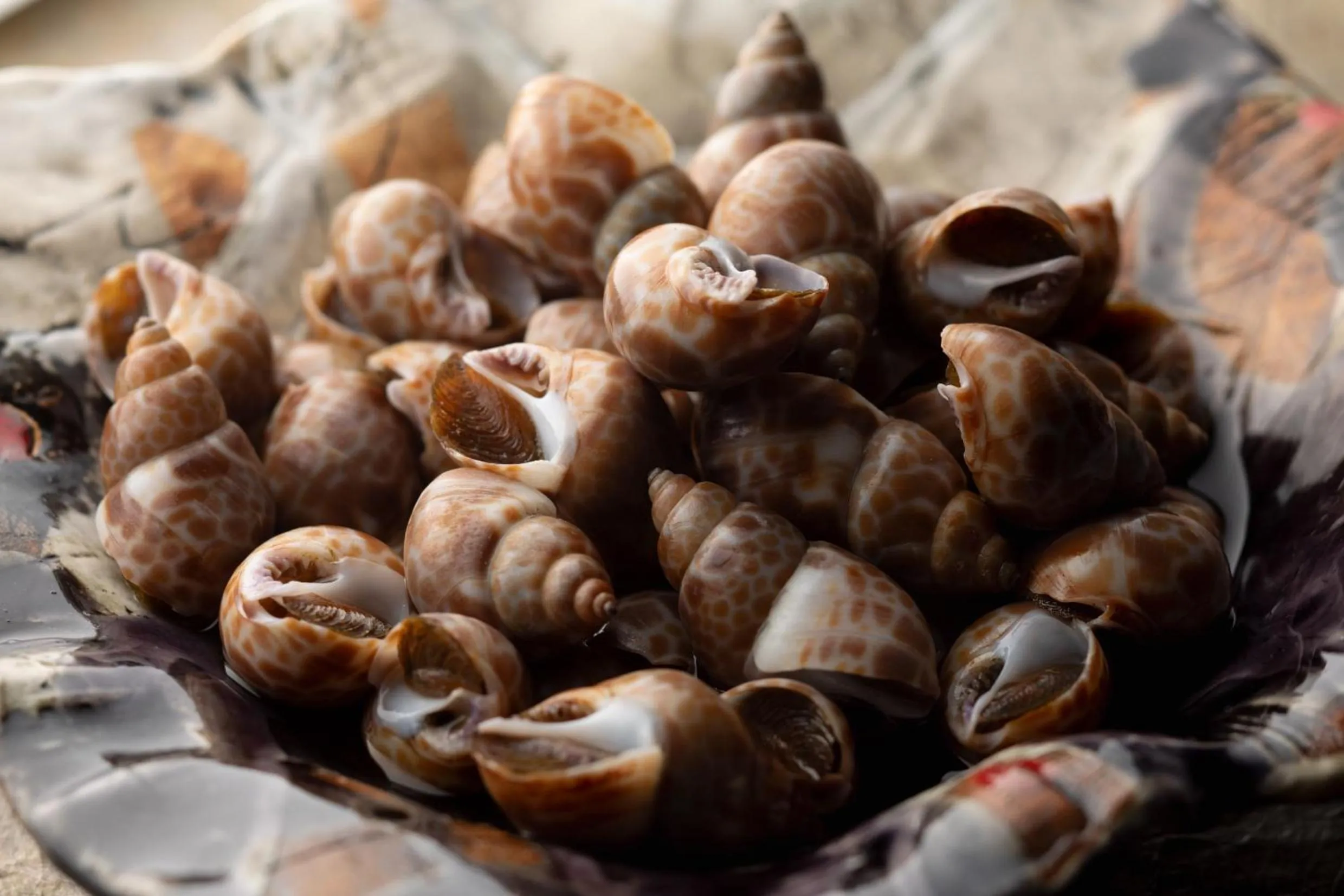 Buffet breakfast in HOTEL VISCHIO TOYAMA