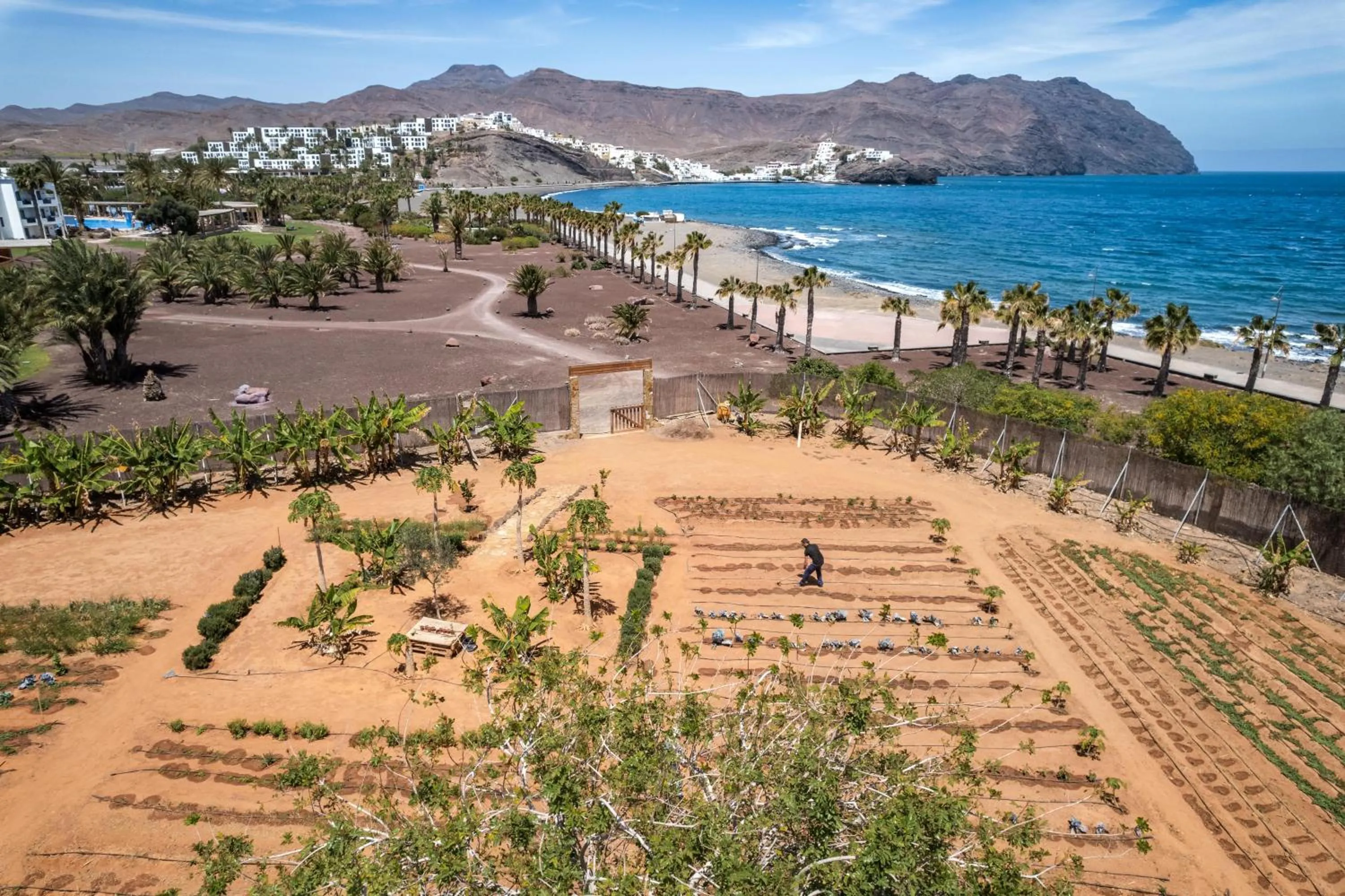 Property building in Playitas Hotel - Sports Resort