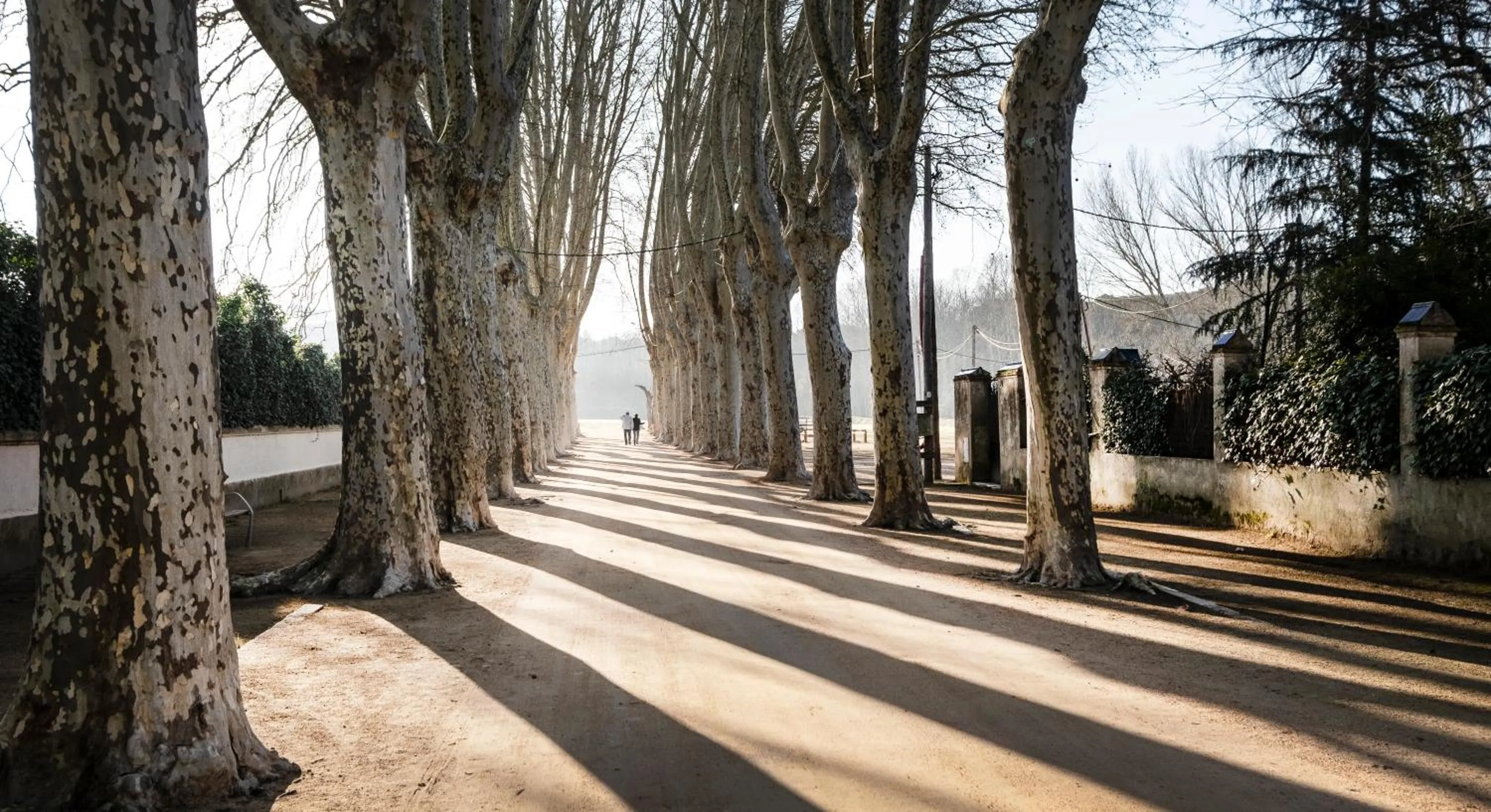 Natural landscape in Hotel Esteba