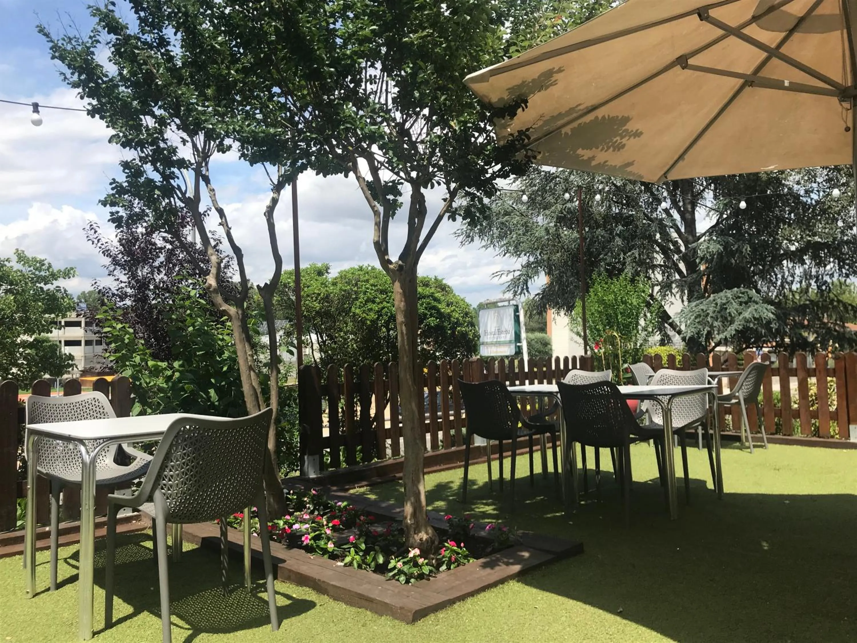 Activities in Hotel Esteba