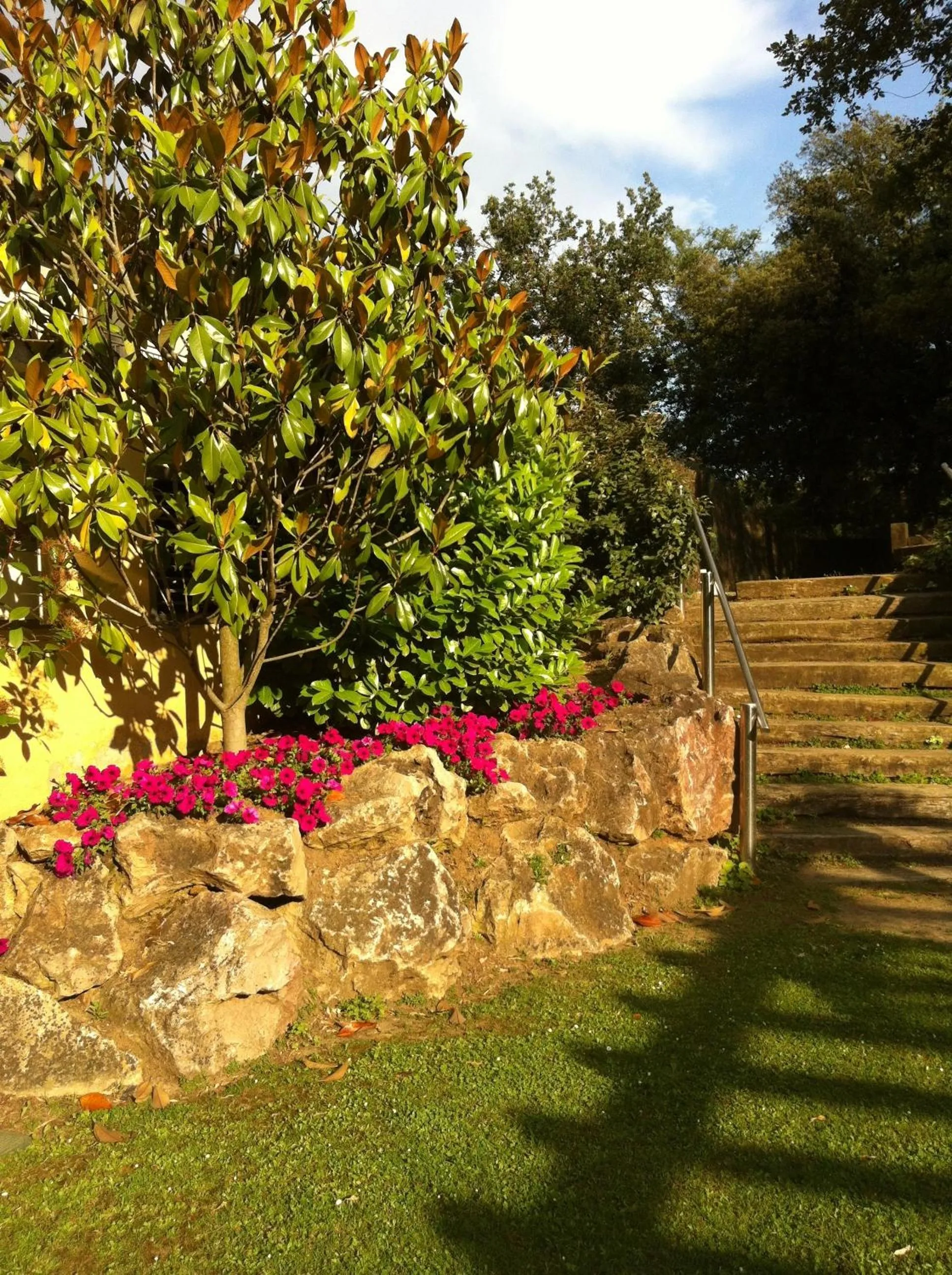 Garden in Hotel Esteba