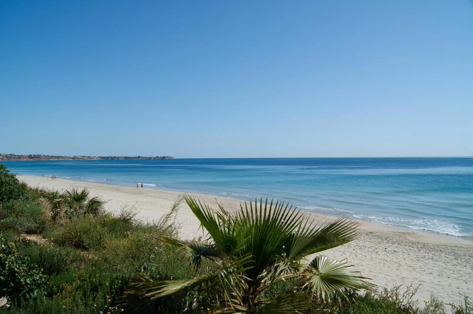 Beach in Apartamentos Jessica Beach