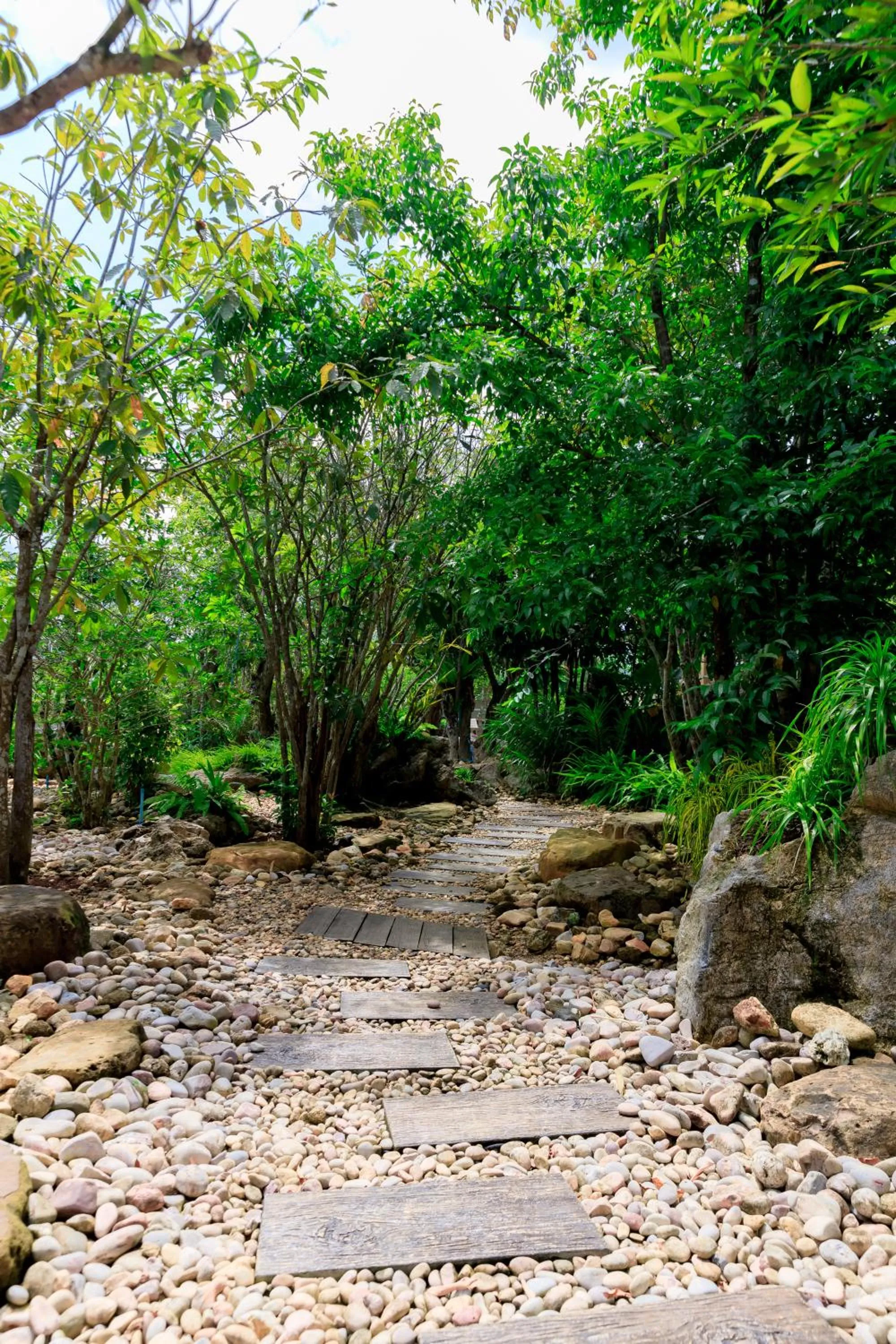 Garden in Saline Hot Spring Resort นำ้พุร้อนเค็ม รีสอร์ท