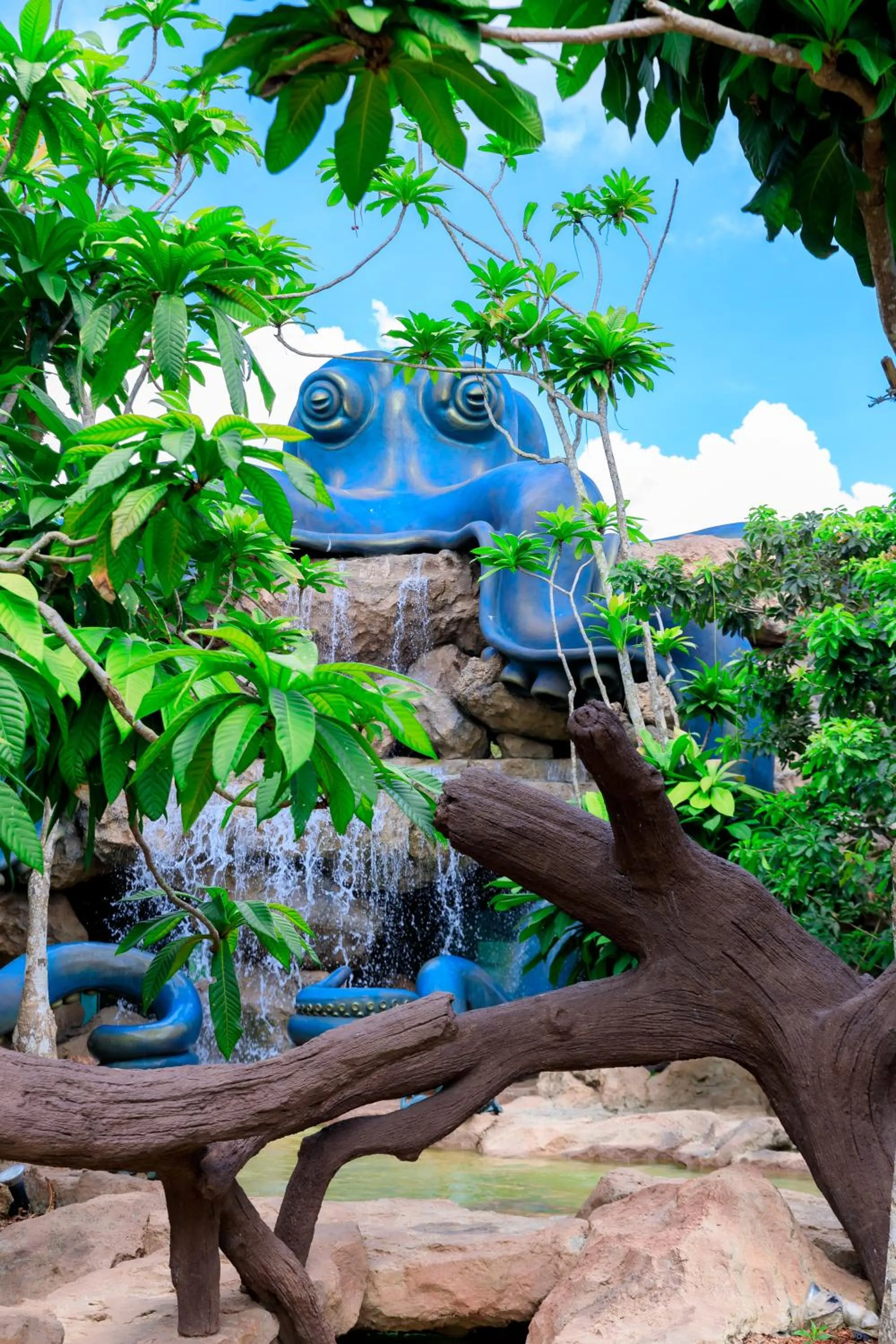 Natural landscape in Saline Hot Spring Resort นำ้พุร้อนเค็ม รีสอร์ท