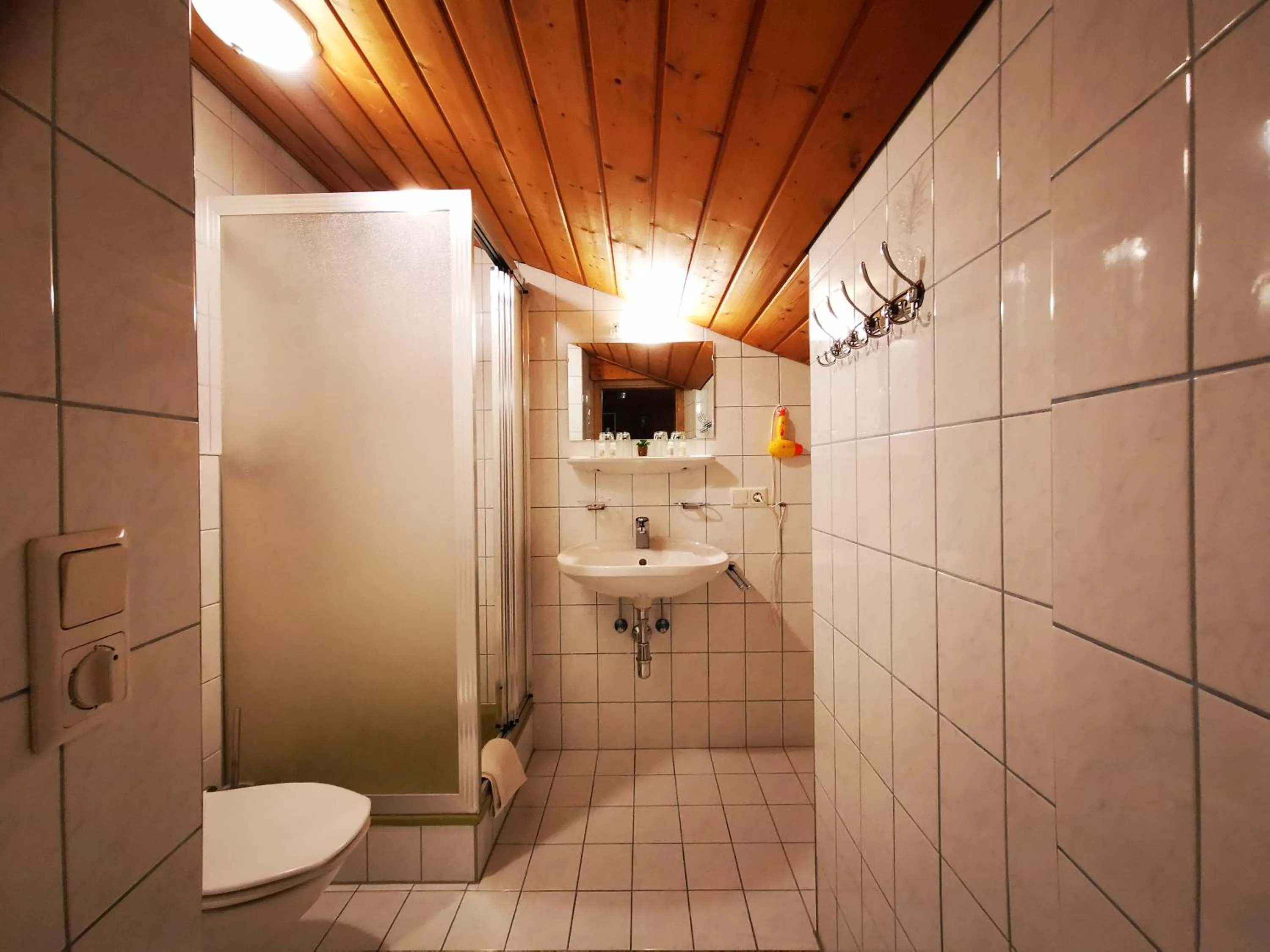 Shower in Gasthof Geronimo