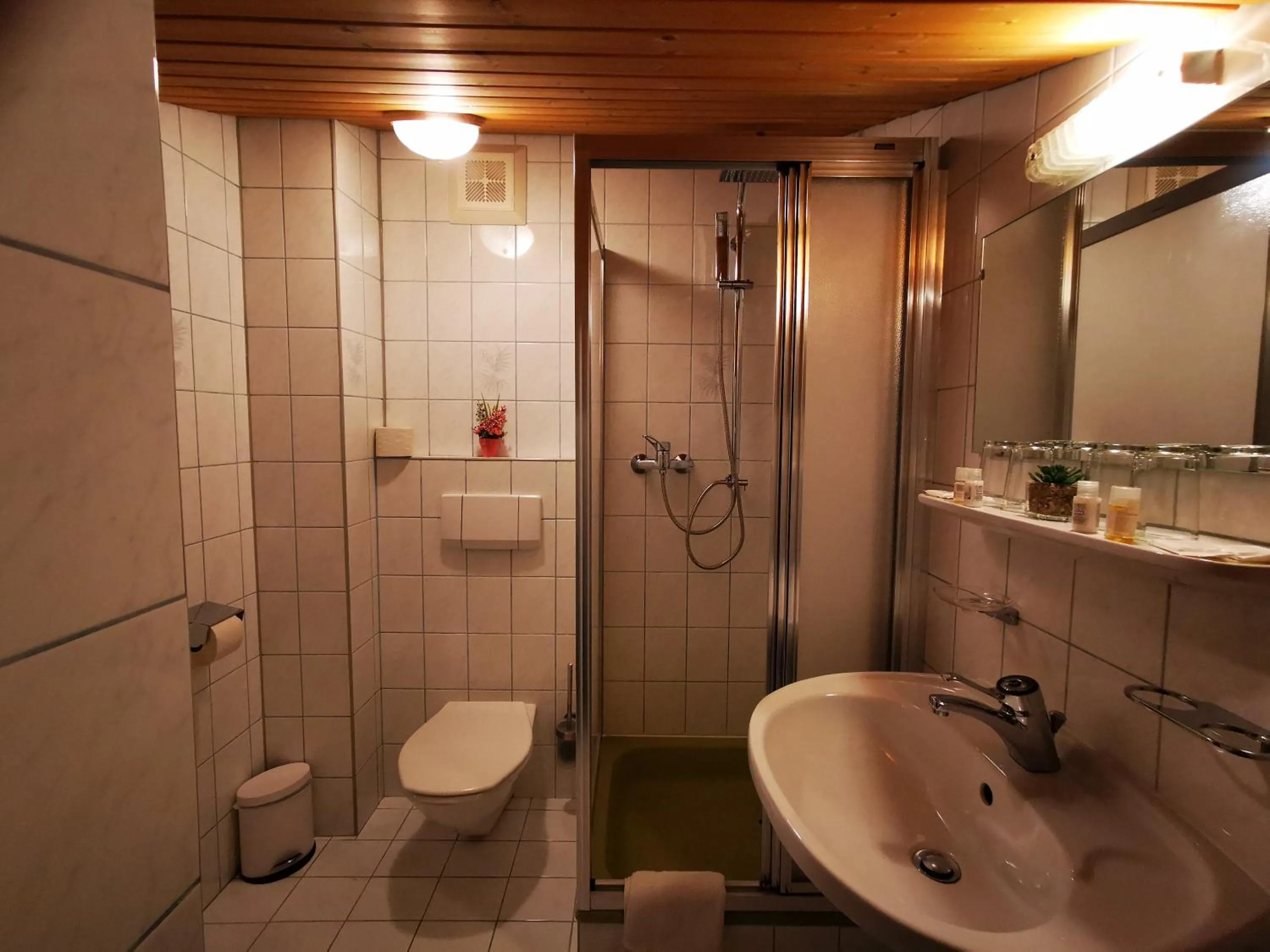 Shower in Gasthof Geronimo