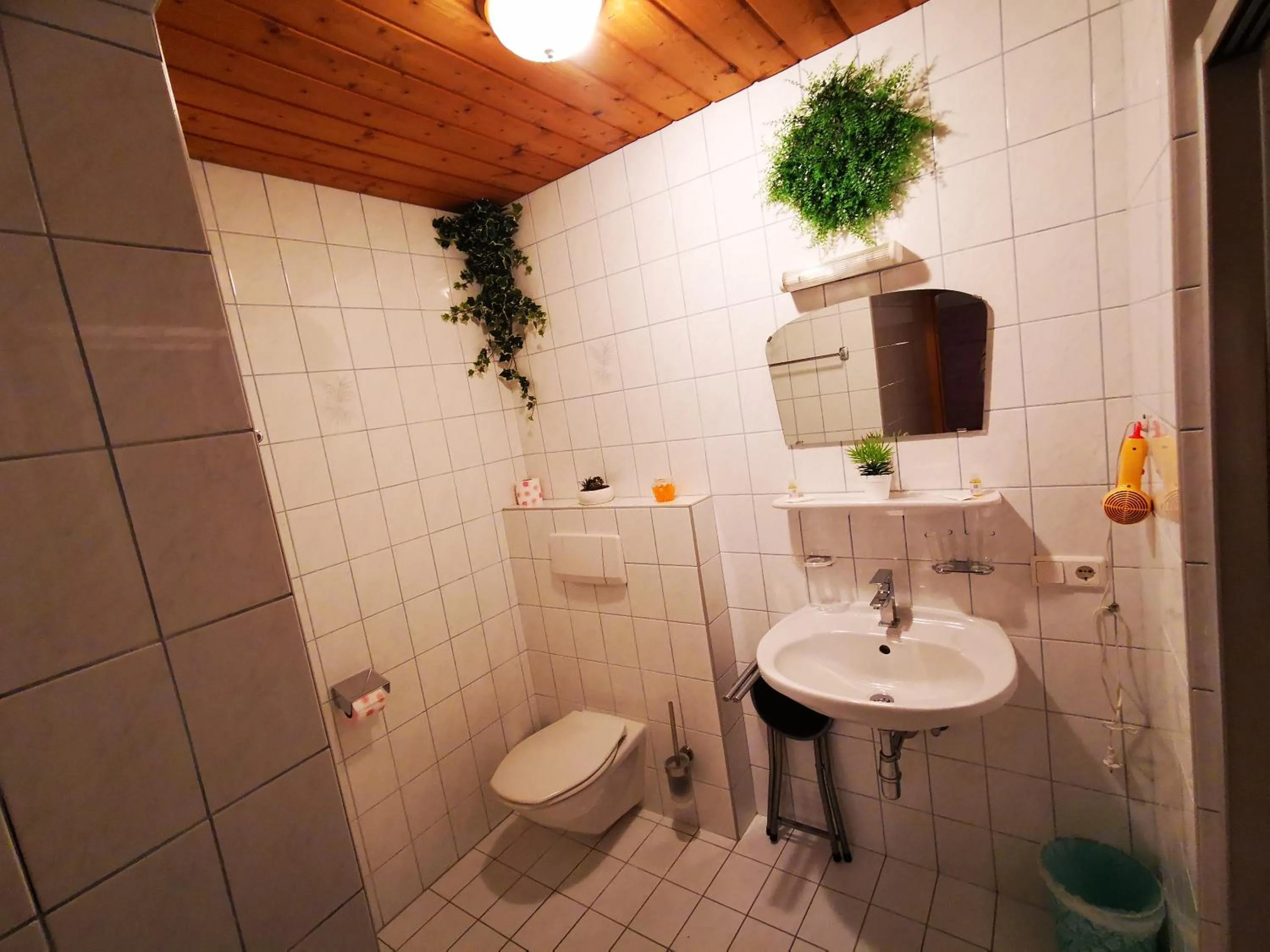 Toilet in Gasthof Geronimo