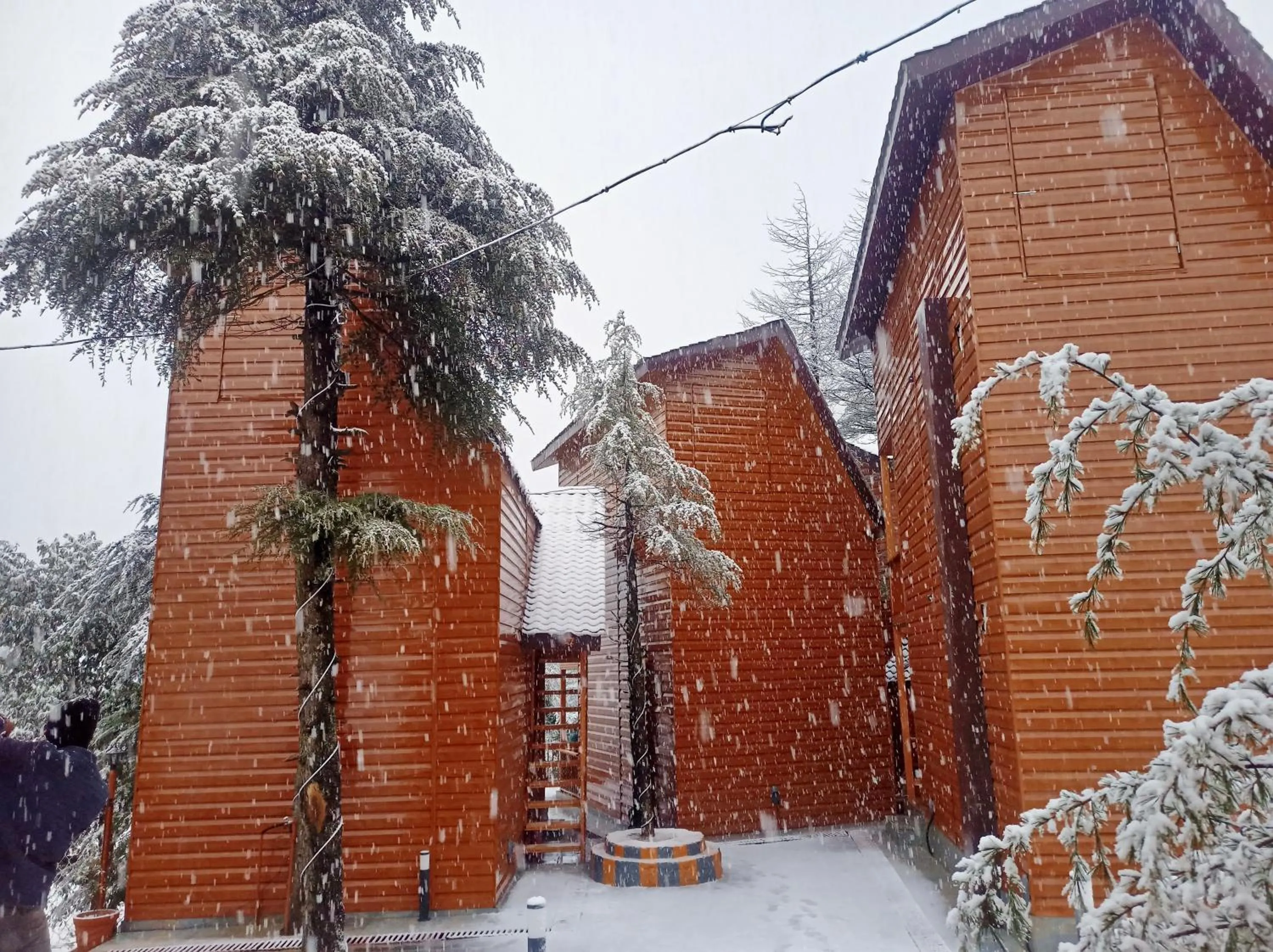 Day in WOW STAYZ2 Ashoka Grand