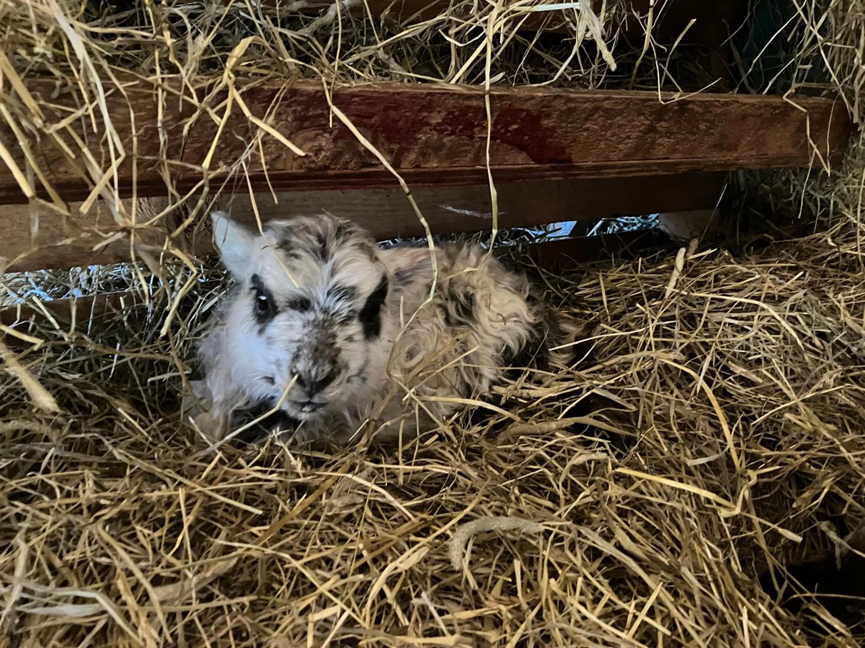 Karaby Gård, Country Living