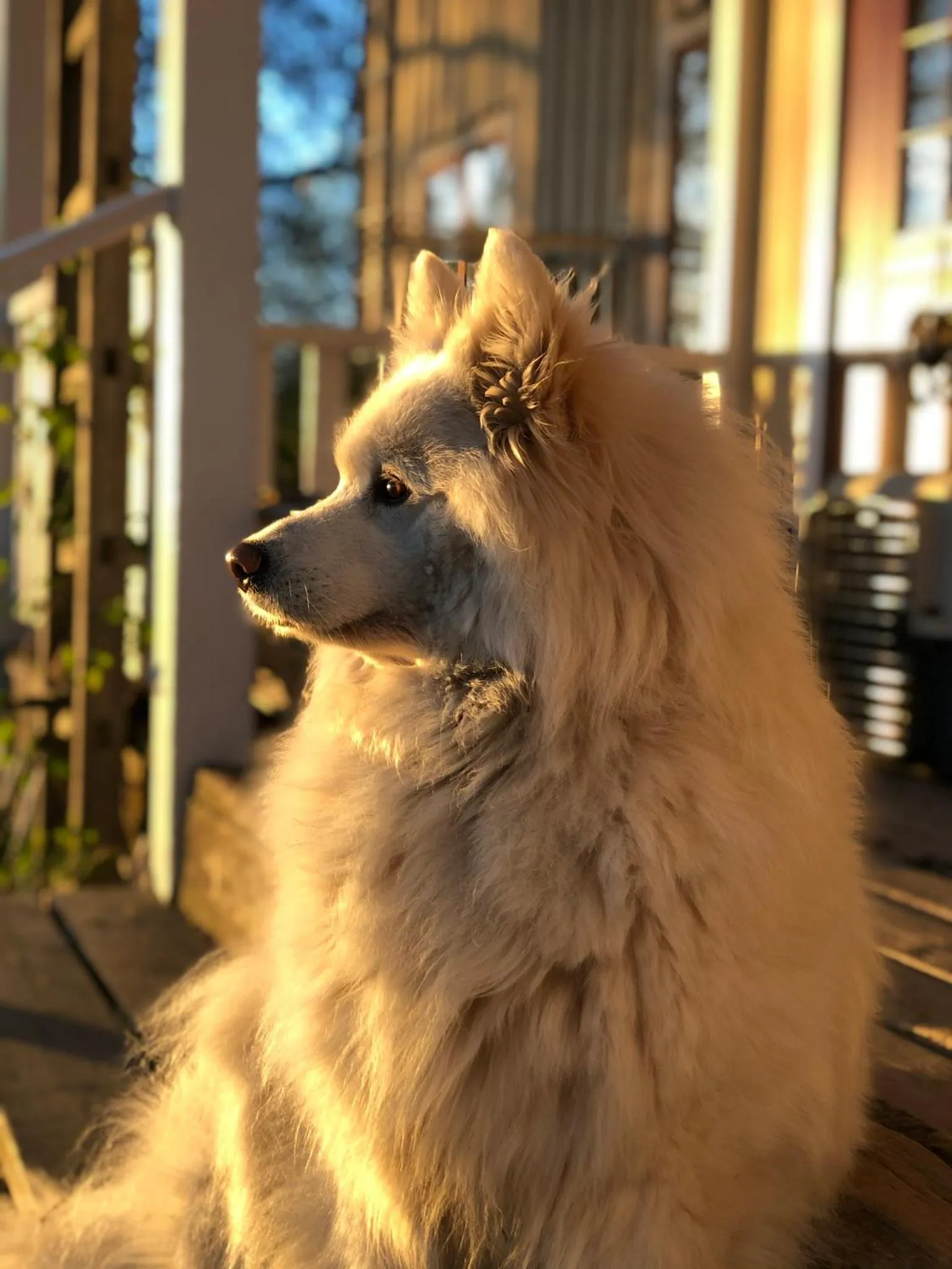 Karaby Gård, Country Living