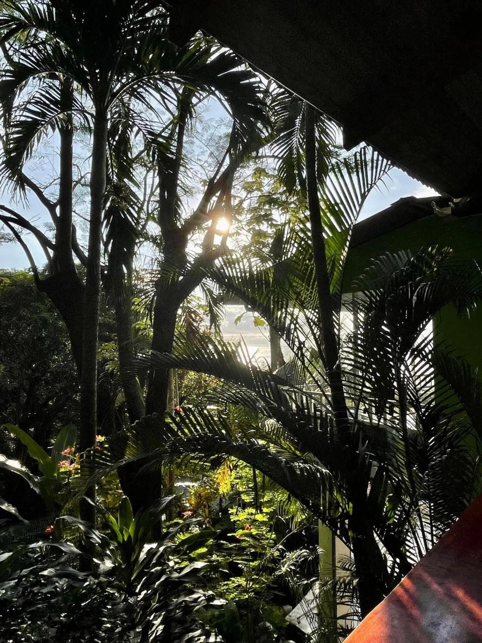 Natural landscape in The Chorotega Hotel, Montezuma