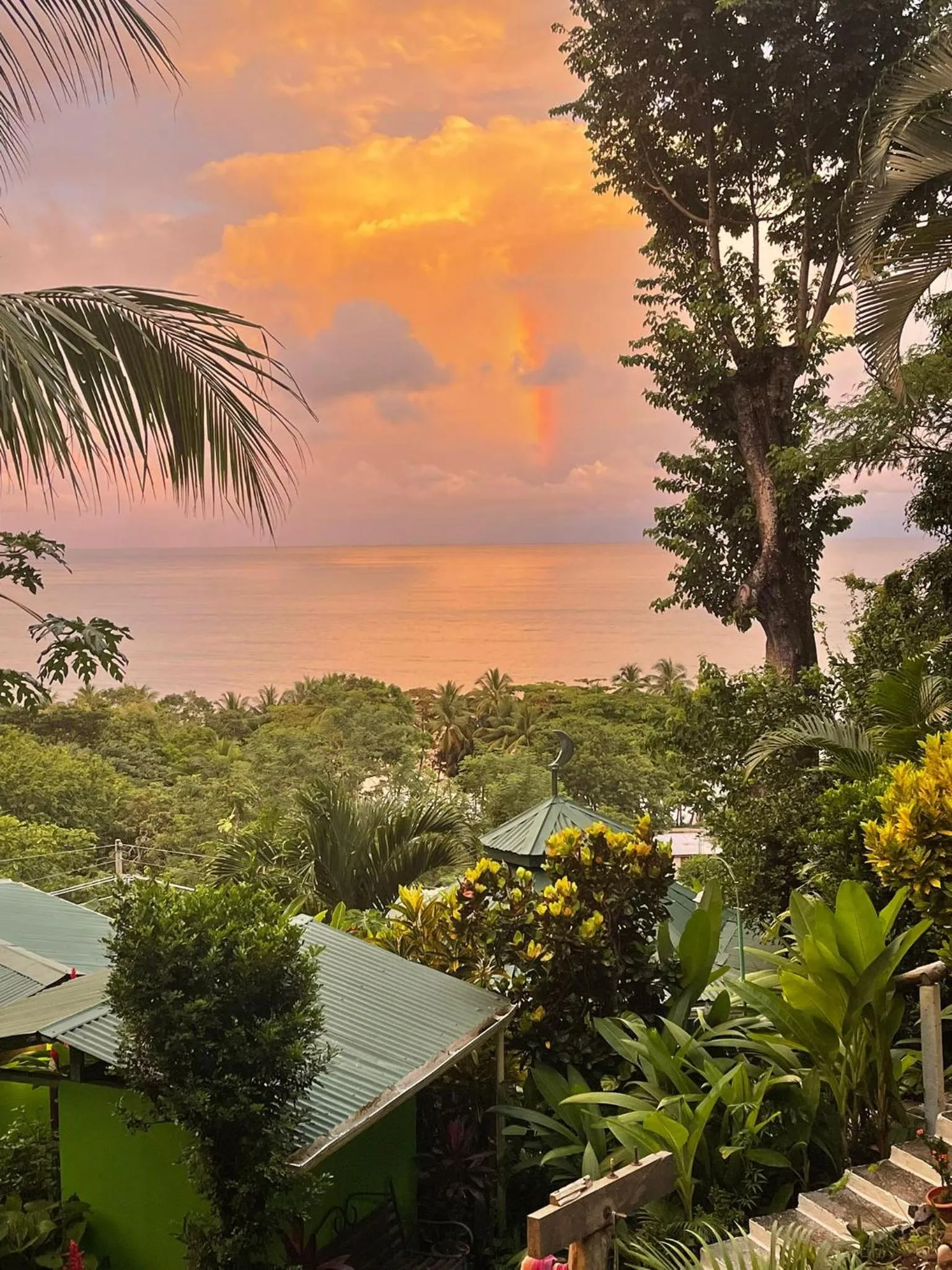 Natural landscape in The Chorotega Hotel, Montezuma