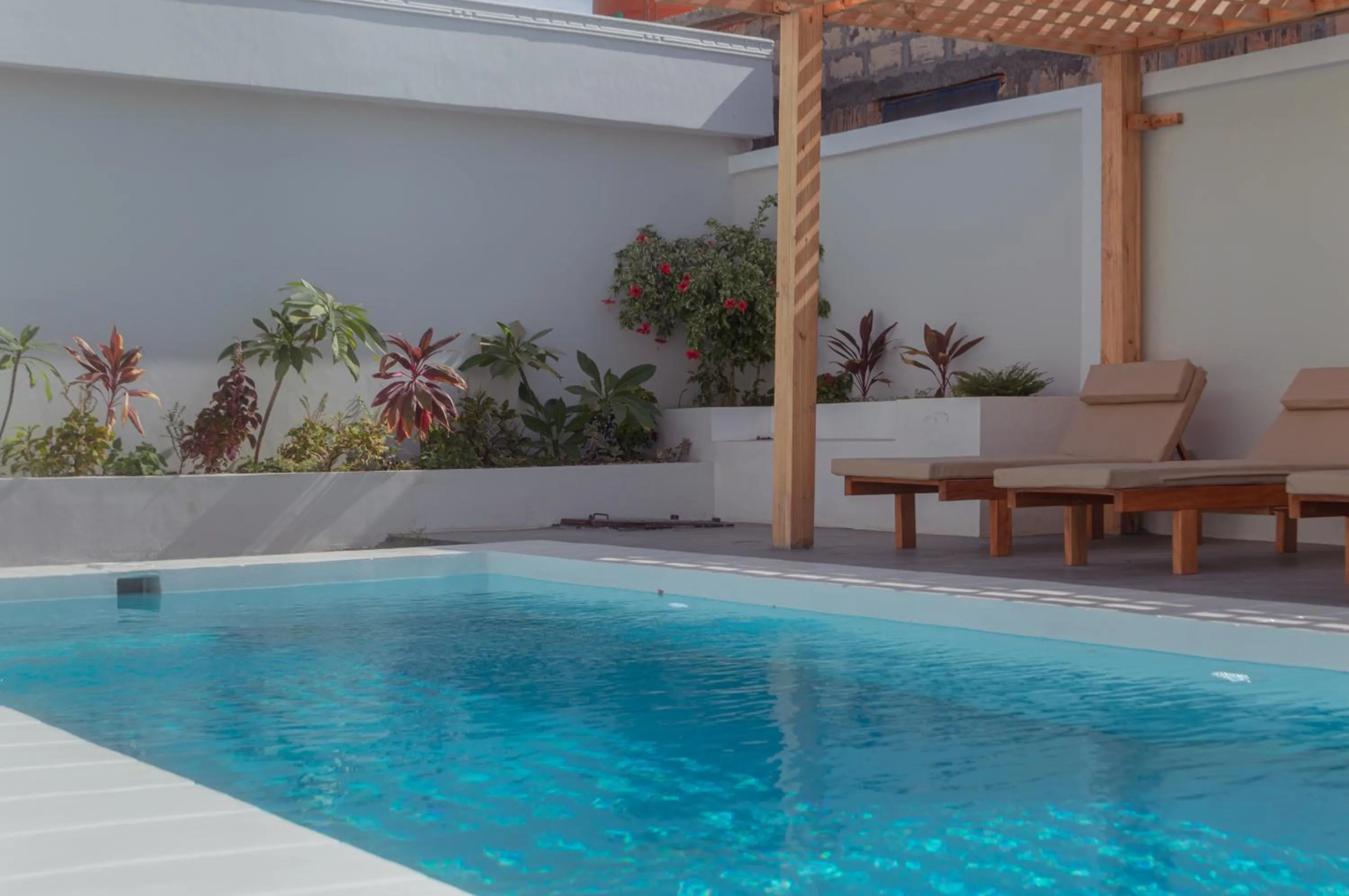 Swimming pool in Nebo Apartments Paje