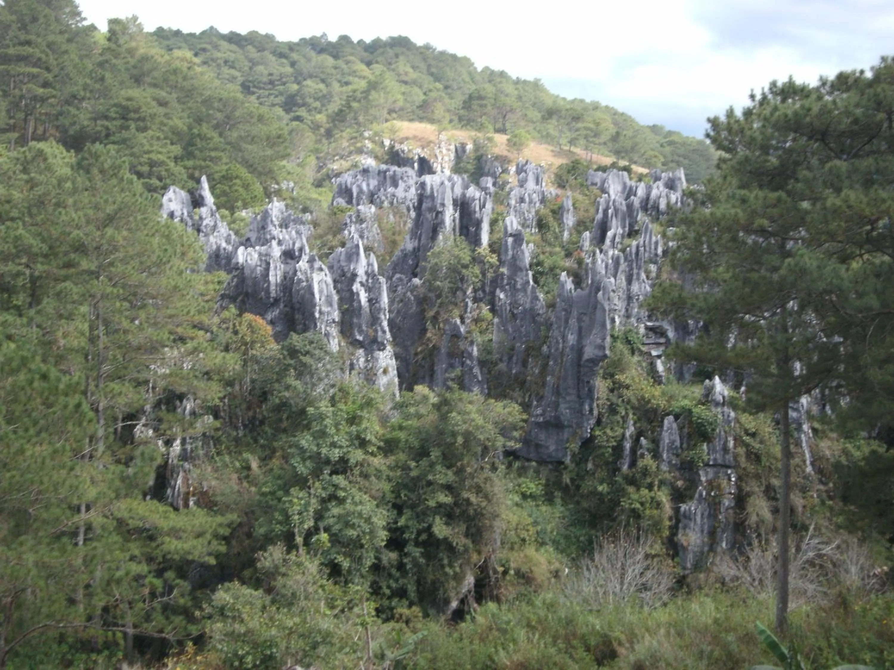 Nearby landmark in Sagada Younganaut Lodge