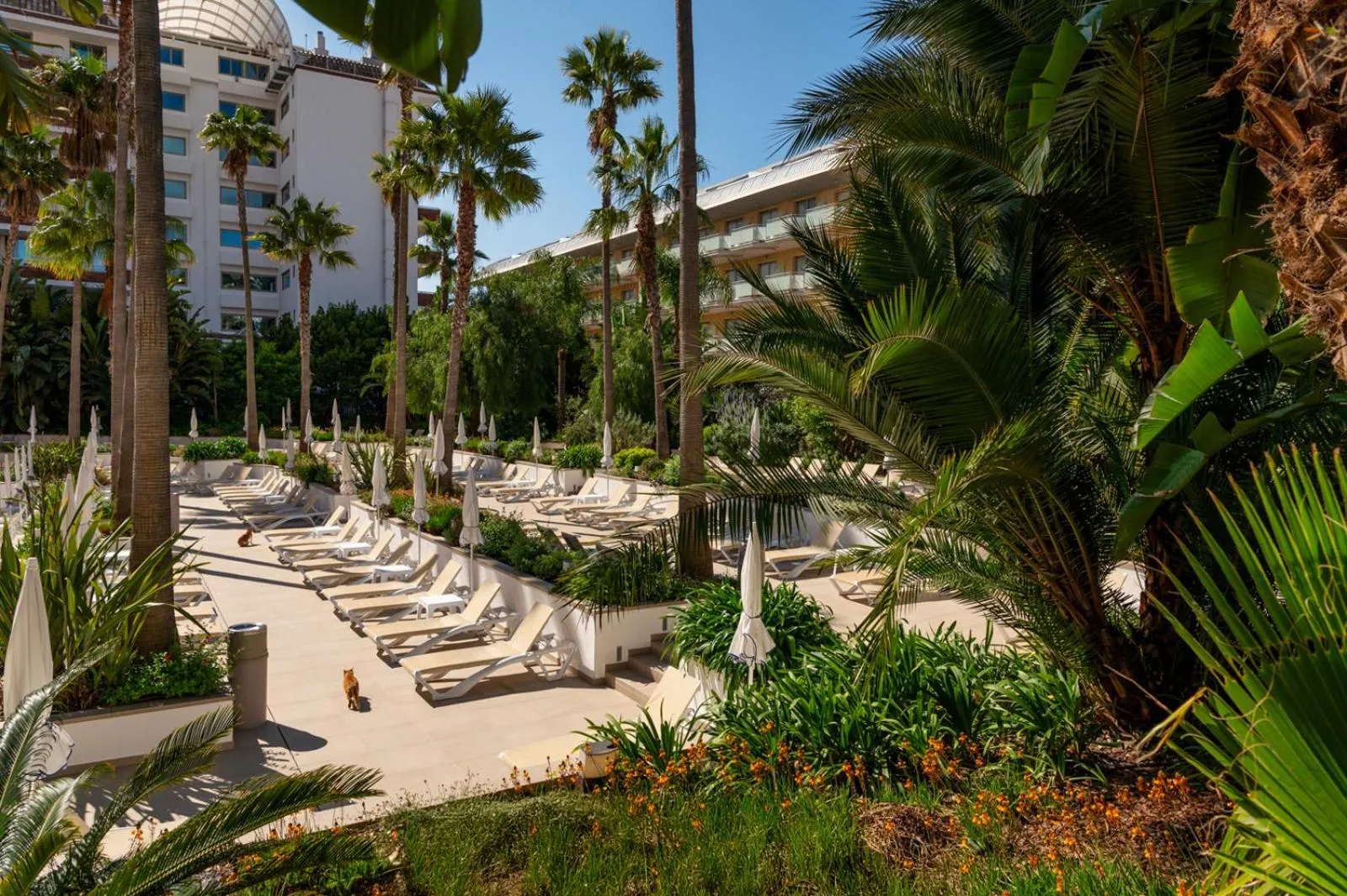 Spring in AQUA Hotel The Breeze & Spa - All Inclusive - Adults Only - 4Sup