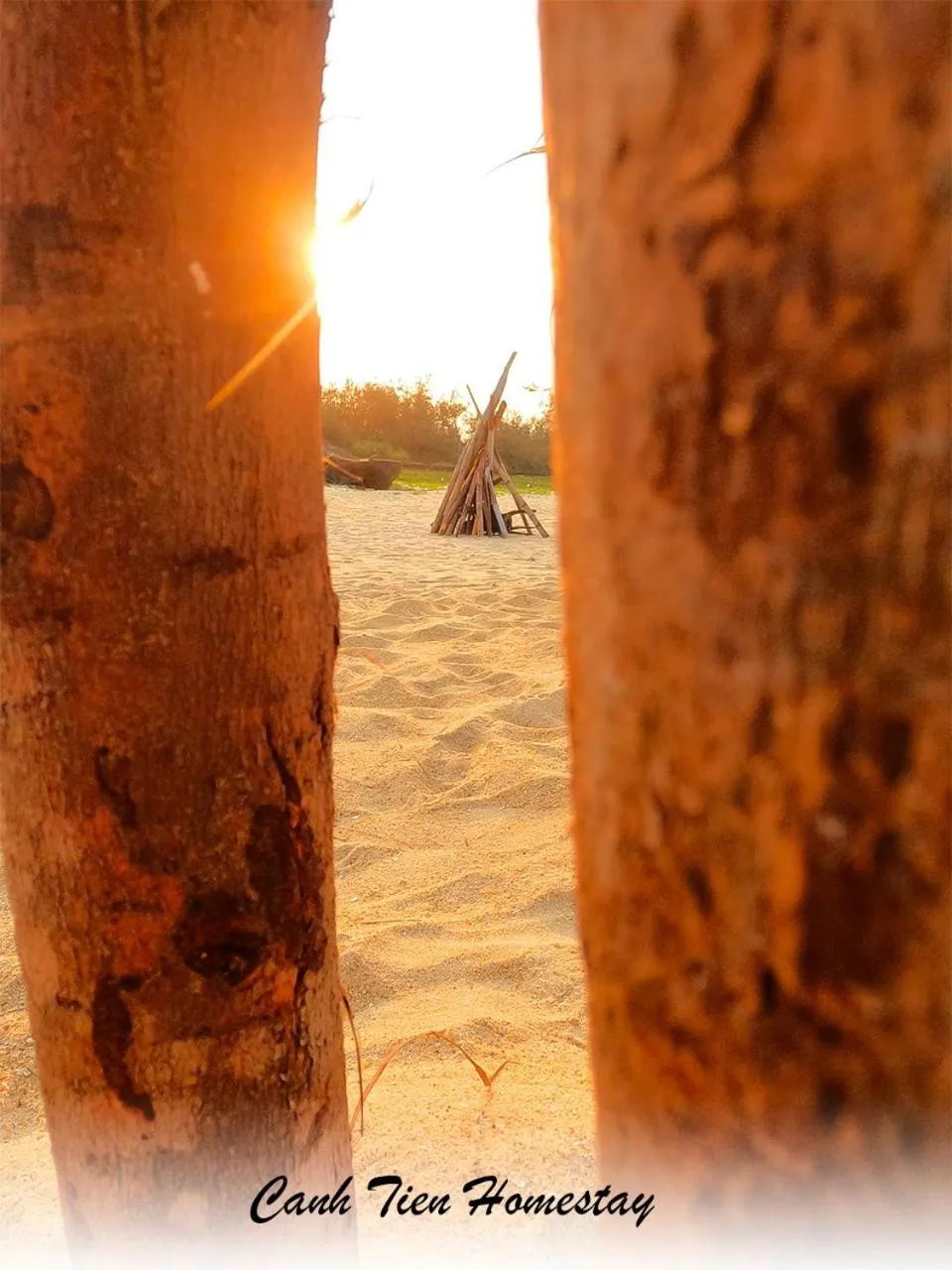 Beach in Canh Tien Homestay Tam Thanh Beach