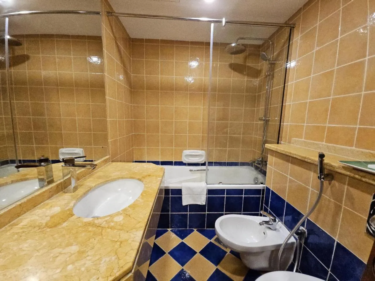 Shower in Royal Concorde Hotel & Suite